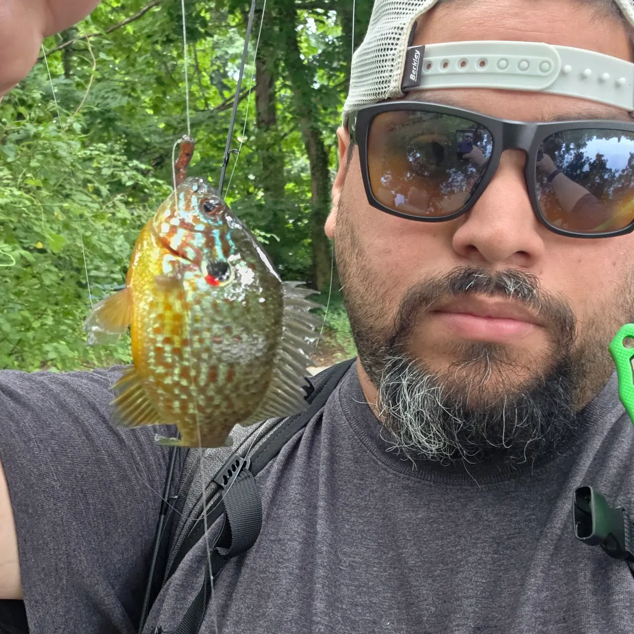 Pumpkinseed caught on Fishbrain