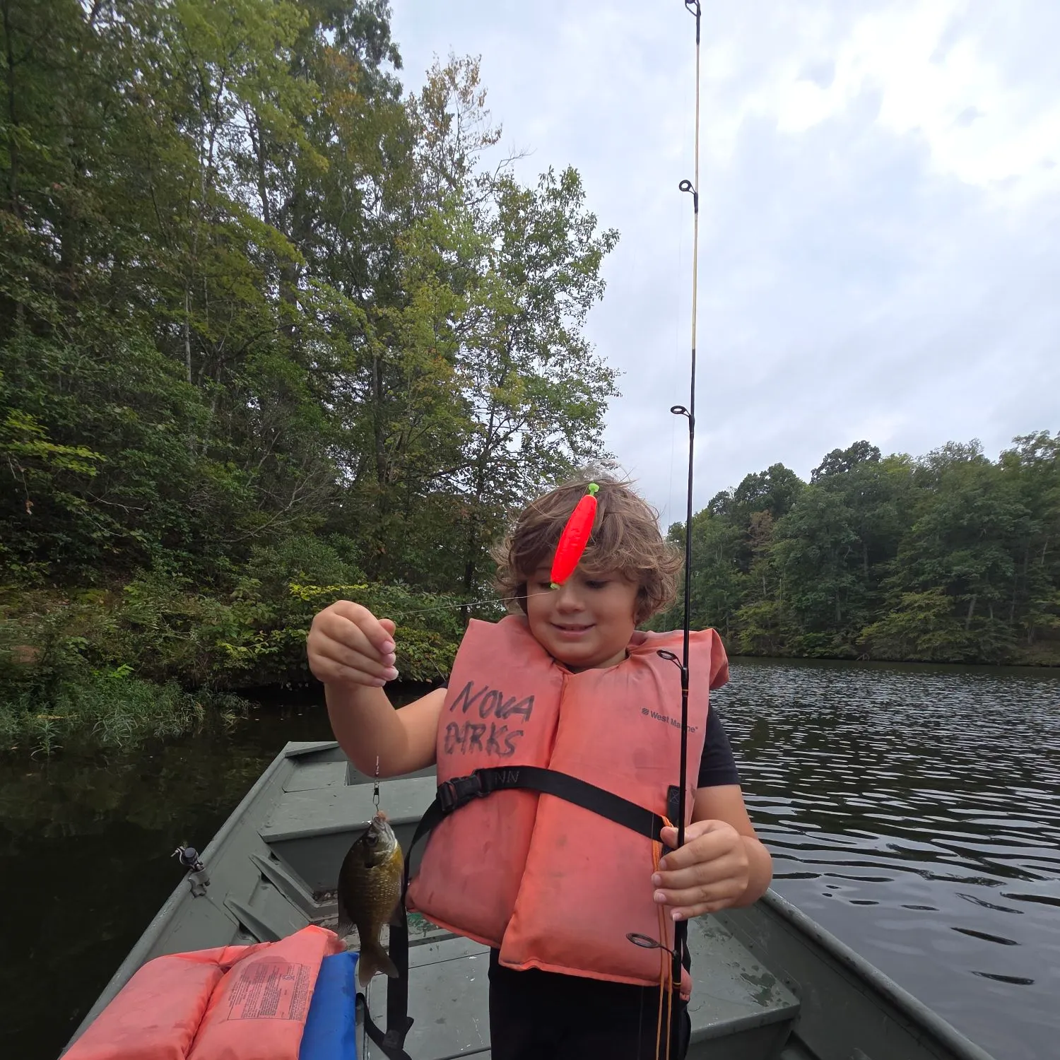 Bluegill caught on Fishbrain