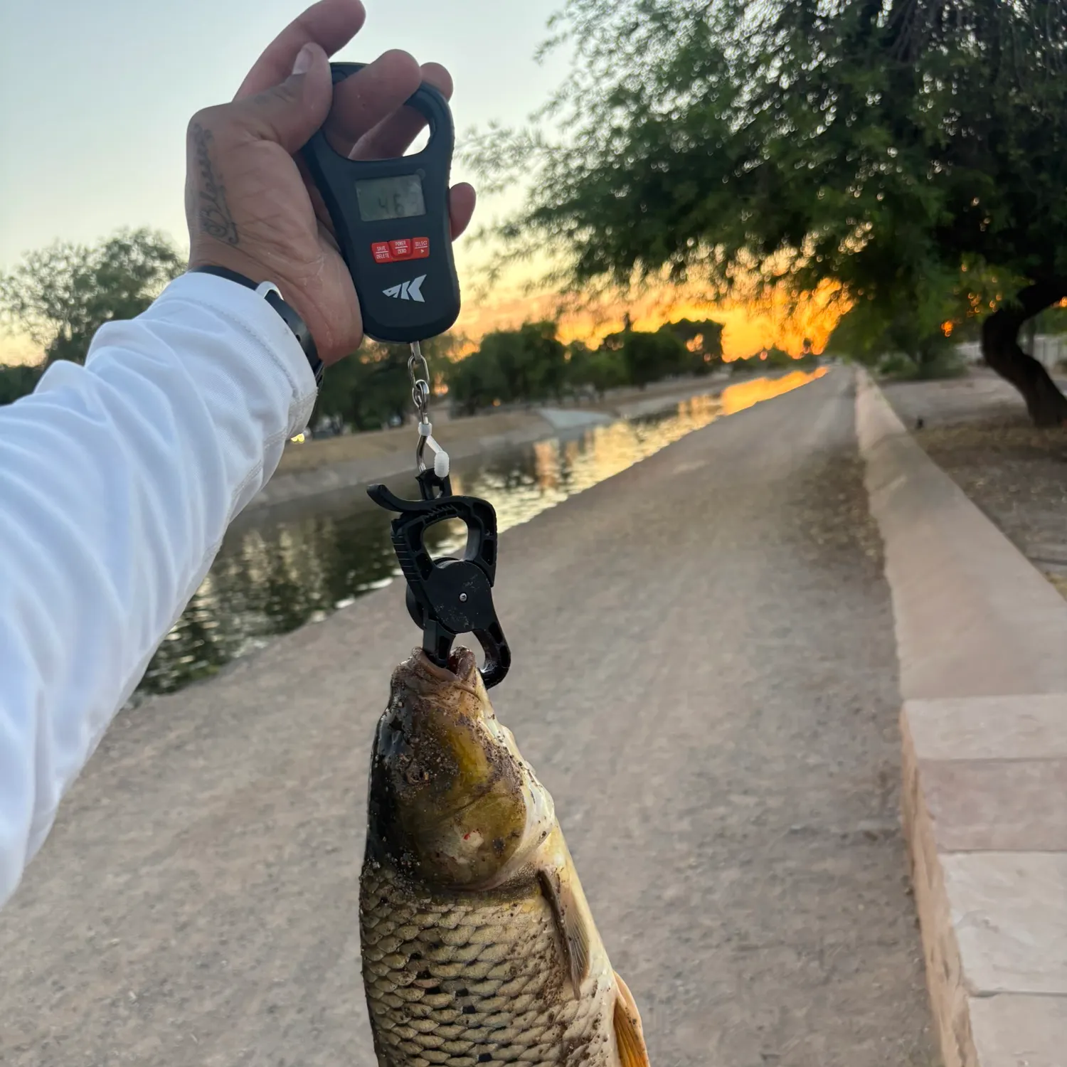 catch