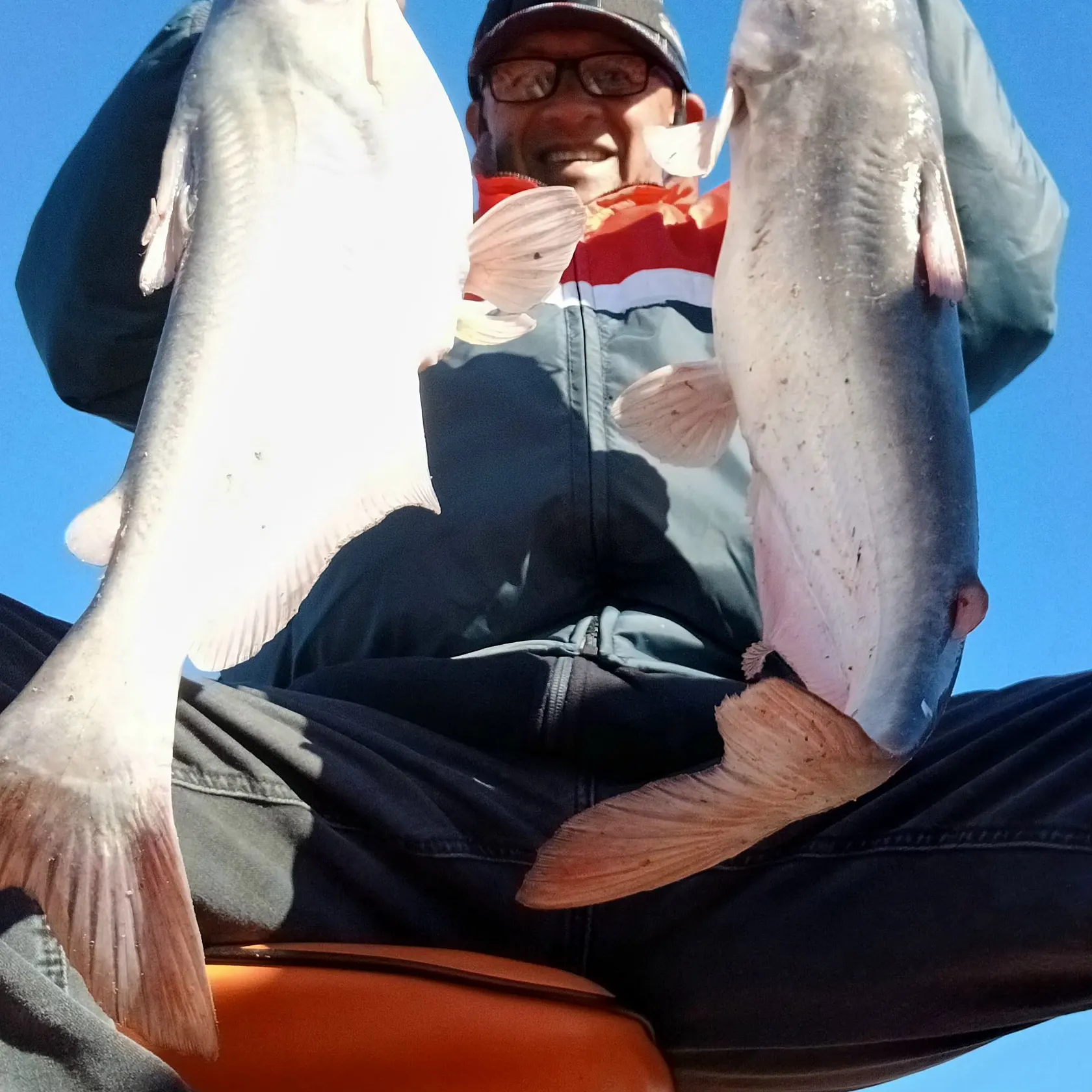 The most recent Blue catfish catches on Fishbrain