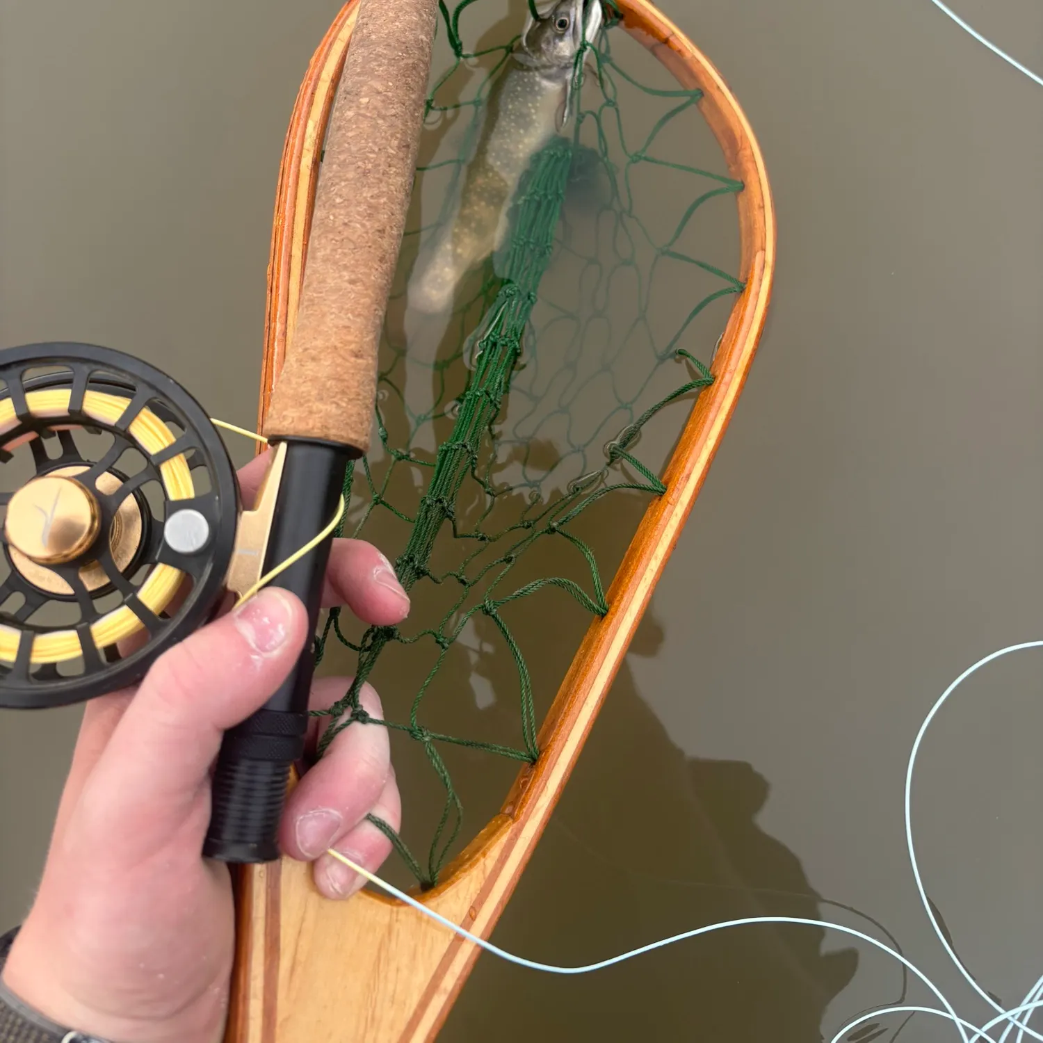 Brook trout caught on Fishbrain