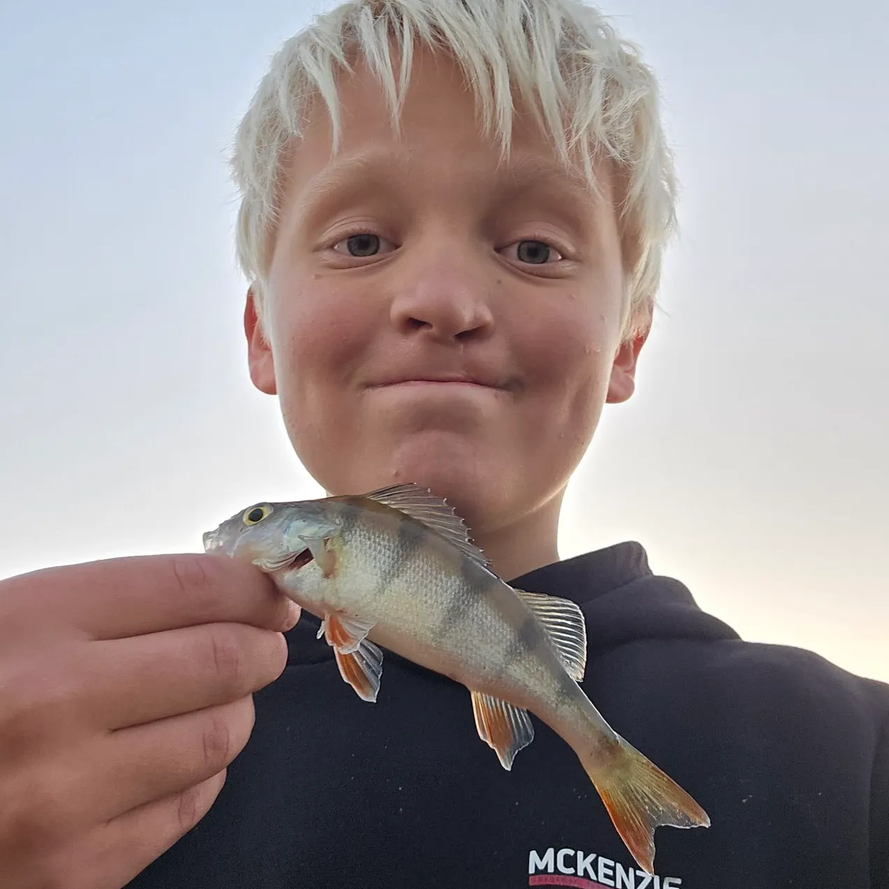 European perch caught on Fishbrain