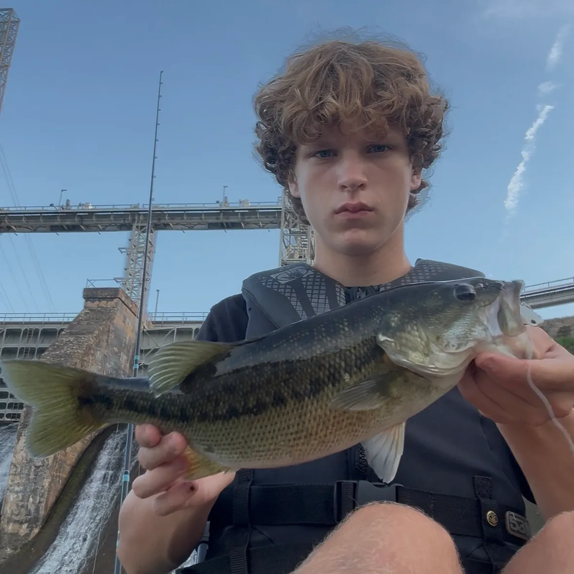 Spotted bass caught on Fishbrain