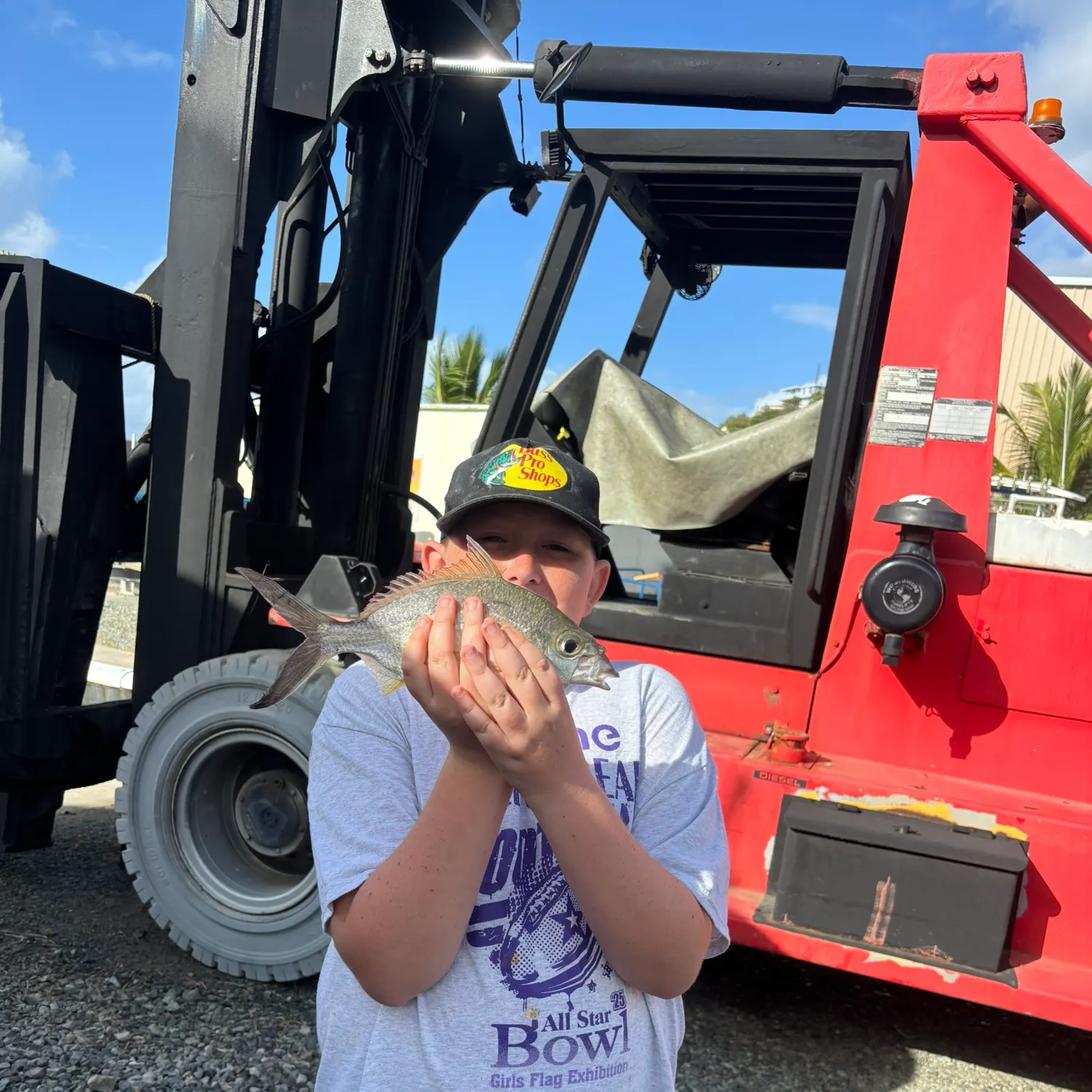 The most recent Striped mojarra catches on Fishbrain