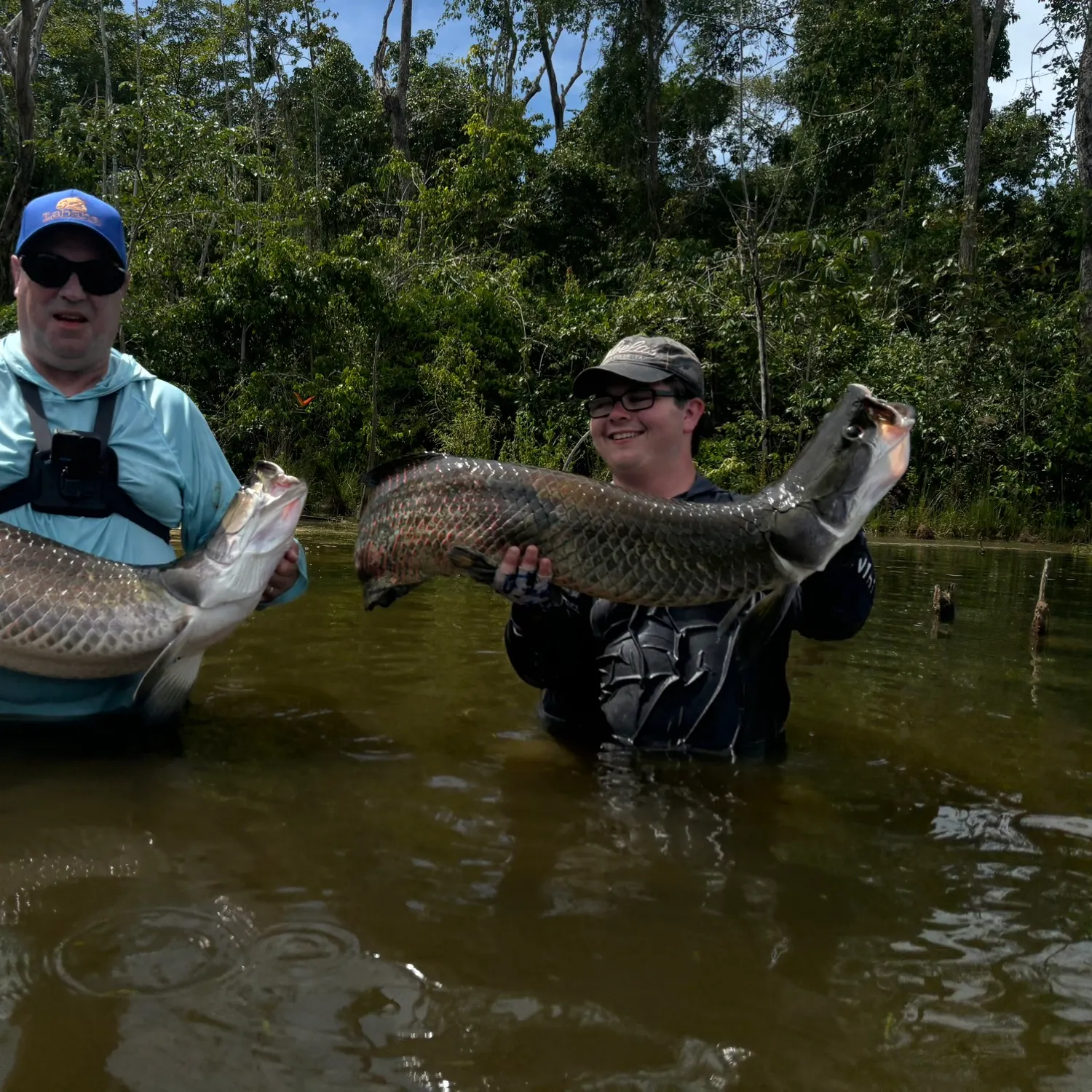 most liked catch image