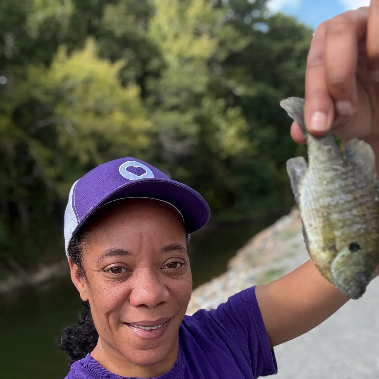 Bluegill caught on Fishbrain