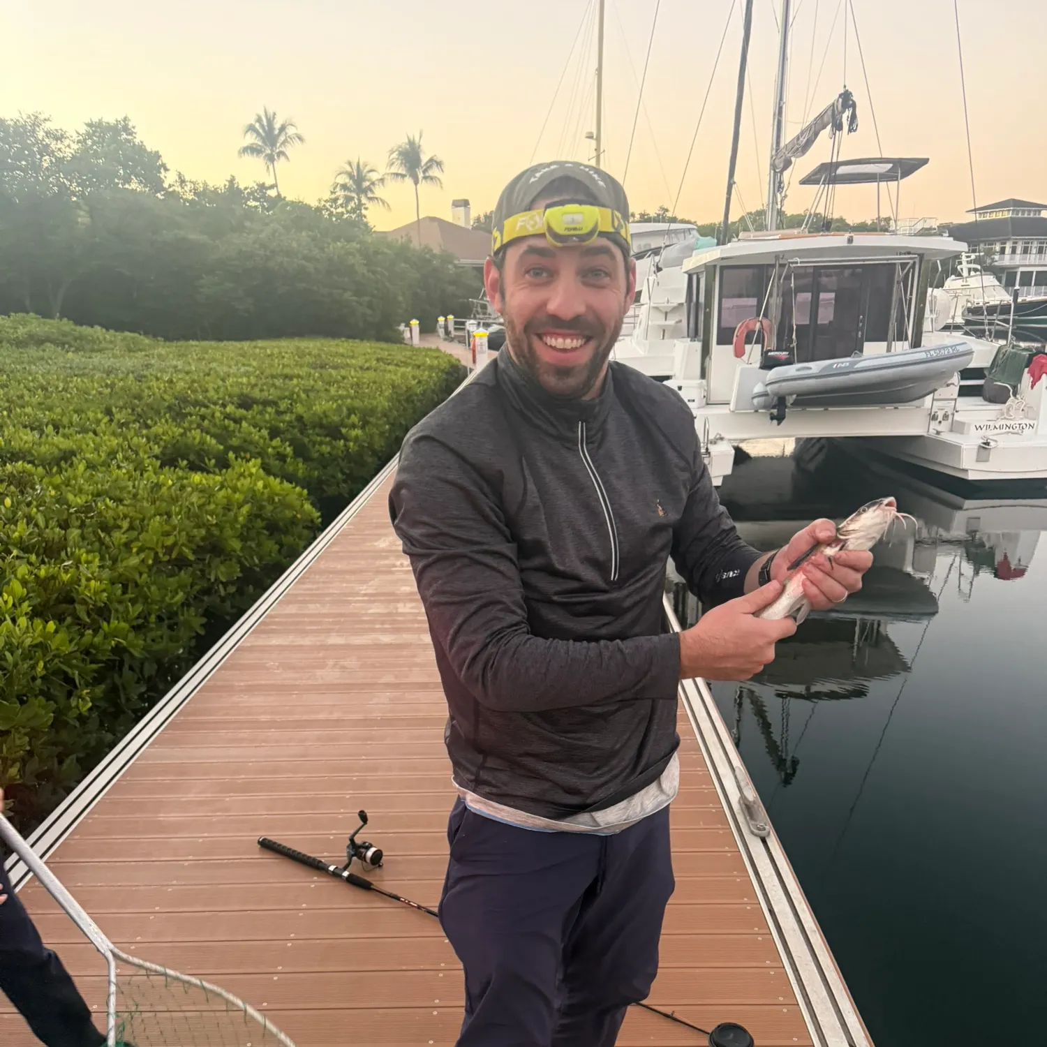 The most recent Gafftopsail sea catfish catches on Fishbrain