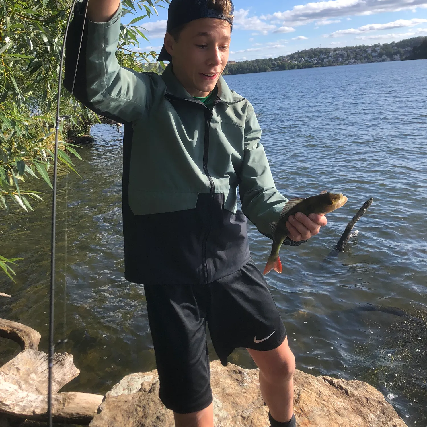 The most recent European perch catches on Fishbrain