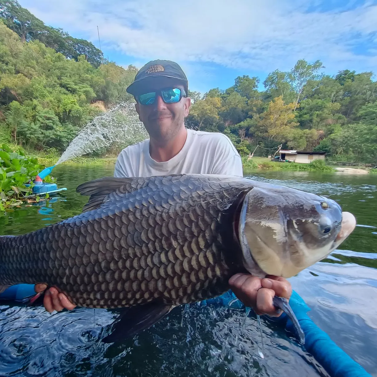 The most recent Siamese carp catches on Fishbrain