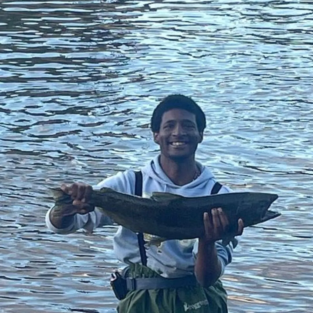 Chinook salmon caught on Fishbrain