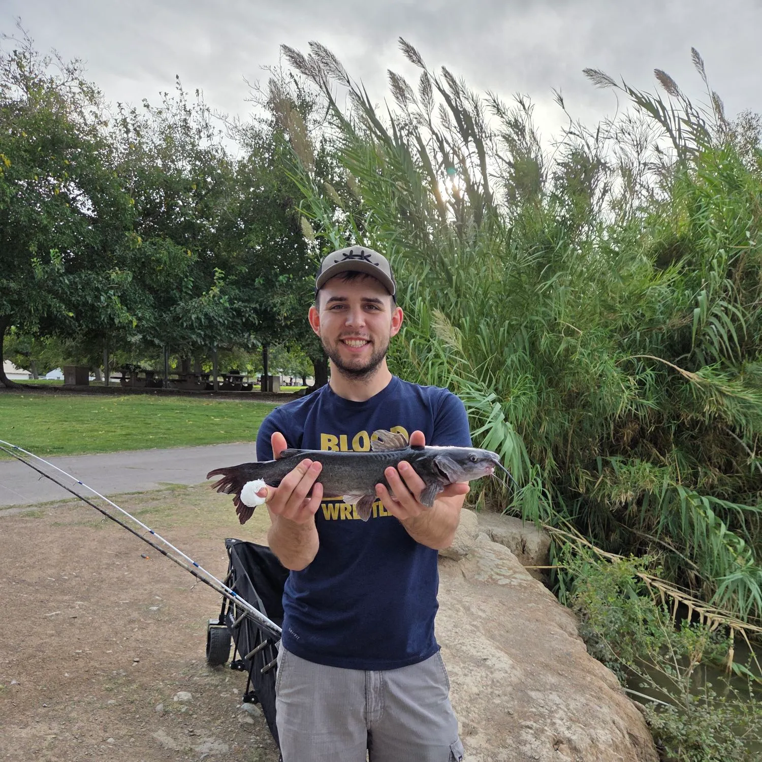Channel catfish caught on Fishbrain