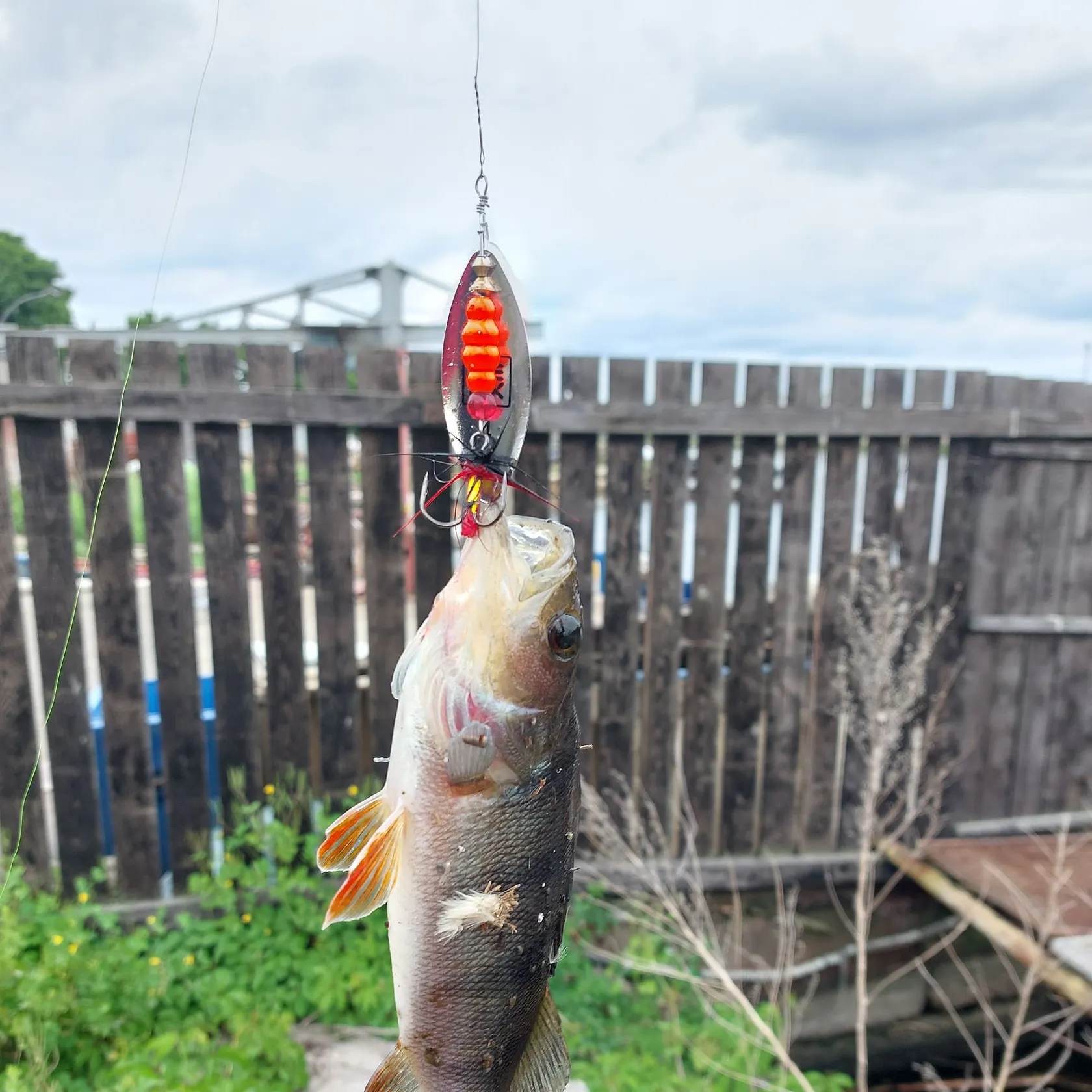 catch
