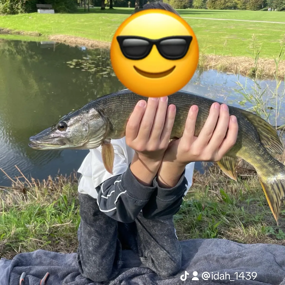 Northern pike caught on Fishbrain