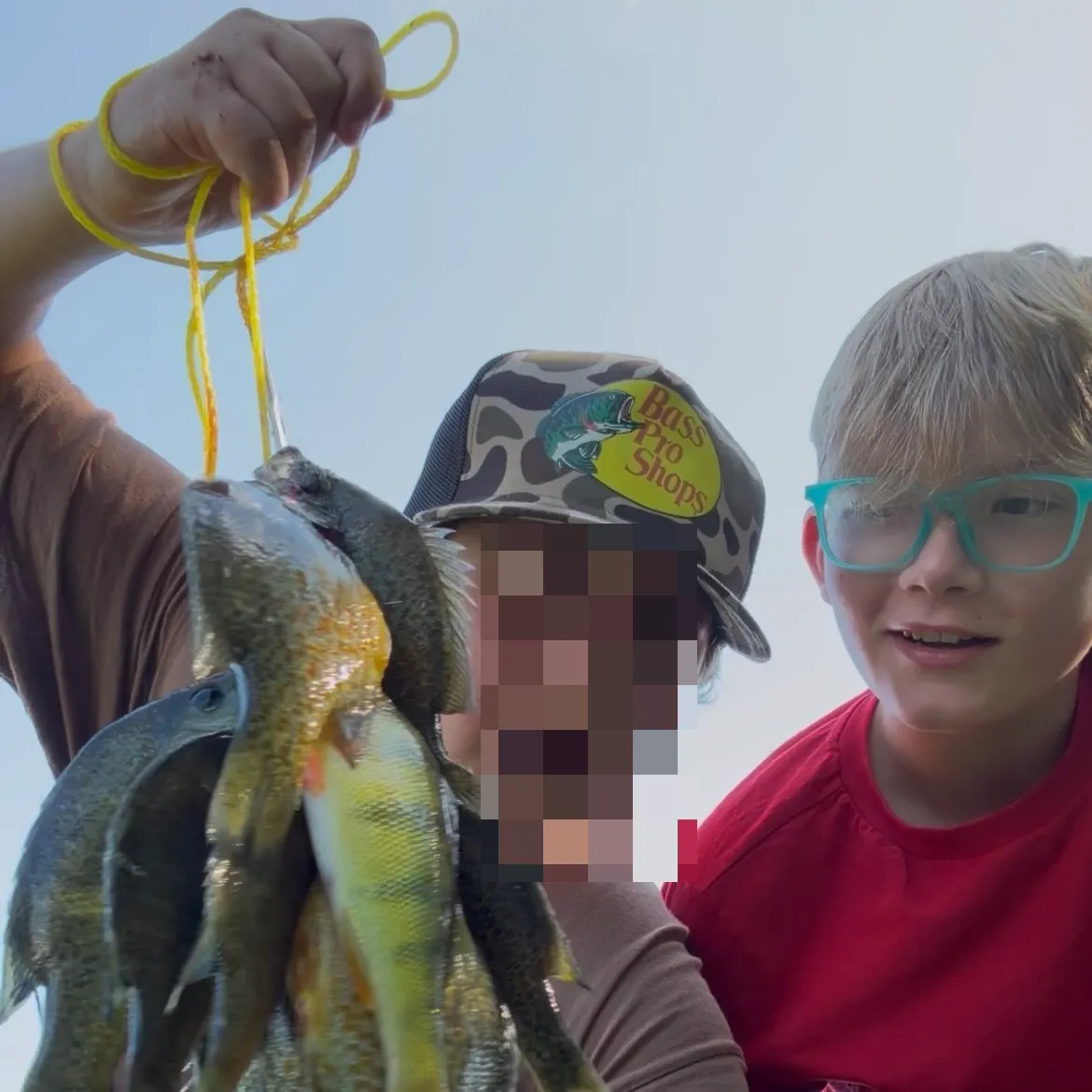 Pumpkinseed caught on Fishbrain
