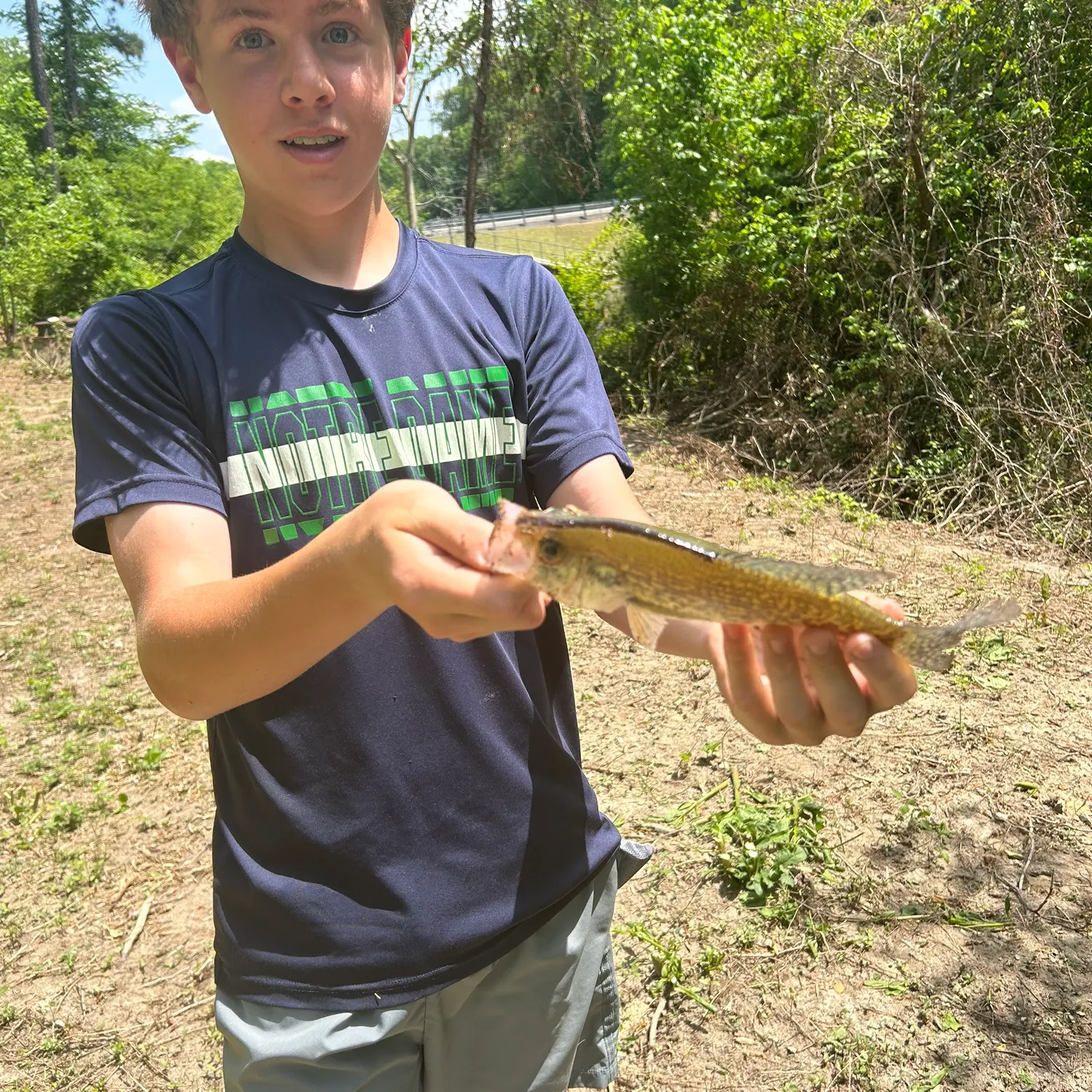 most liked catch image
