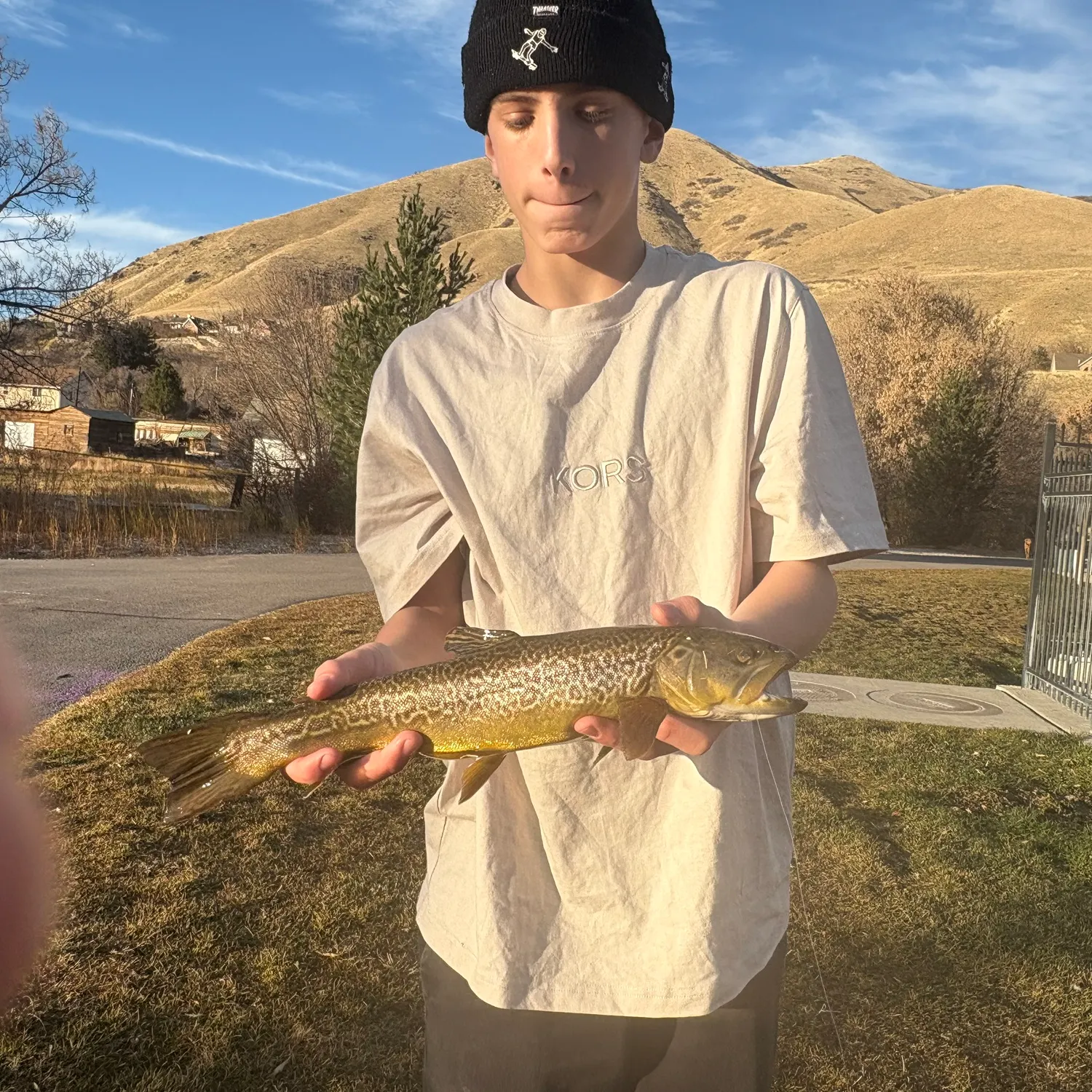 The most recent Tiger trout catches on Fishbrain