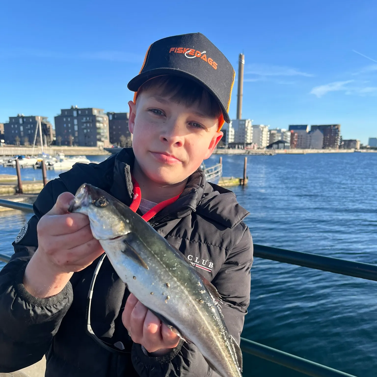 The most recent Atlantic pollock catches on Fishbrain