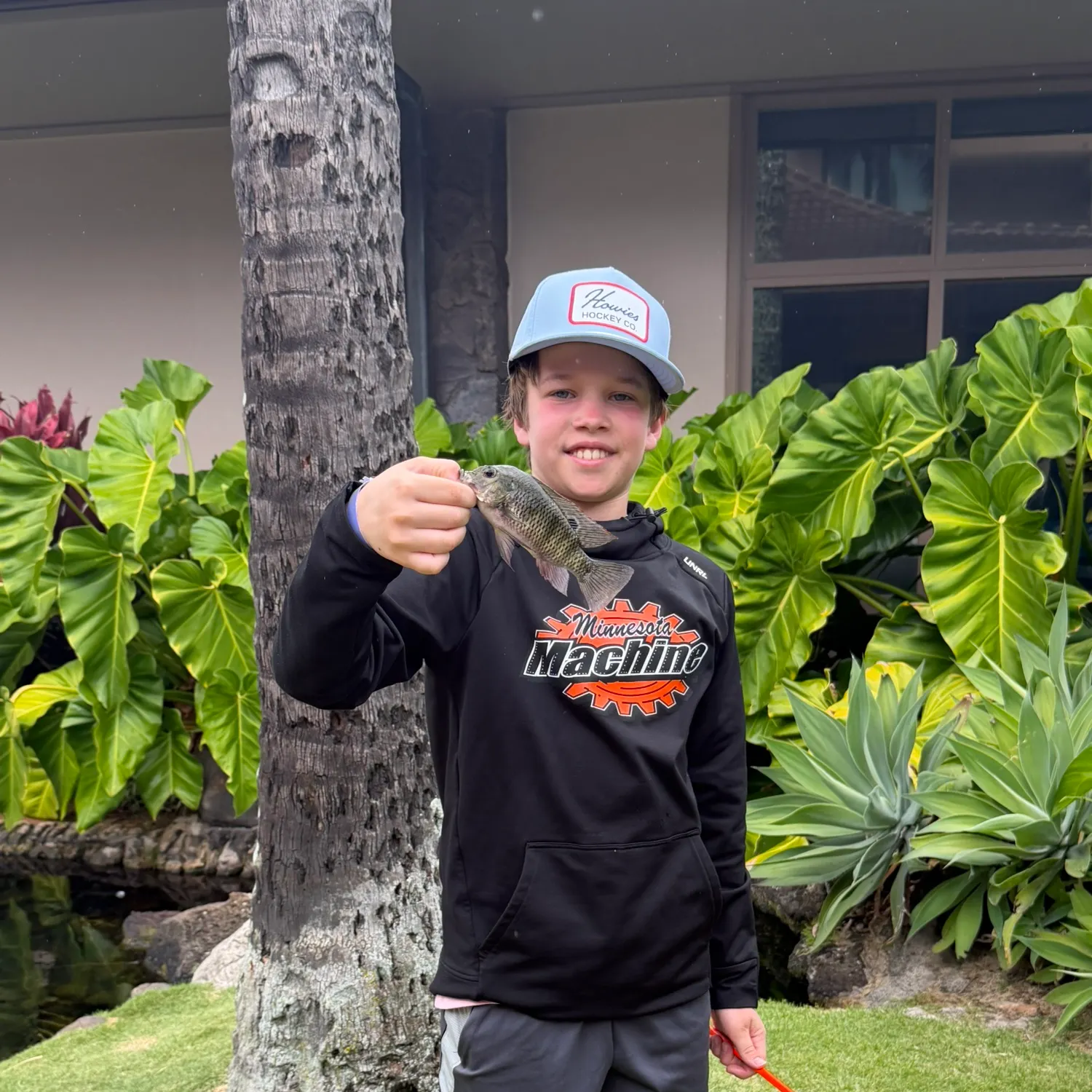 The most recent Redbelly tilapia catches on Fishbrain