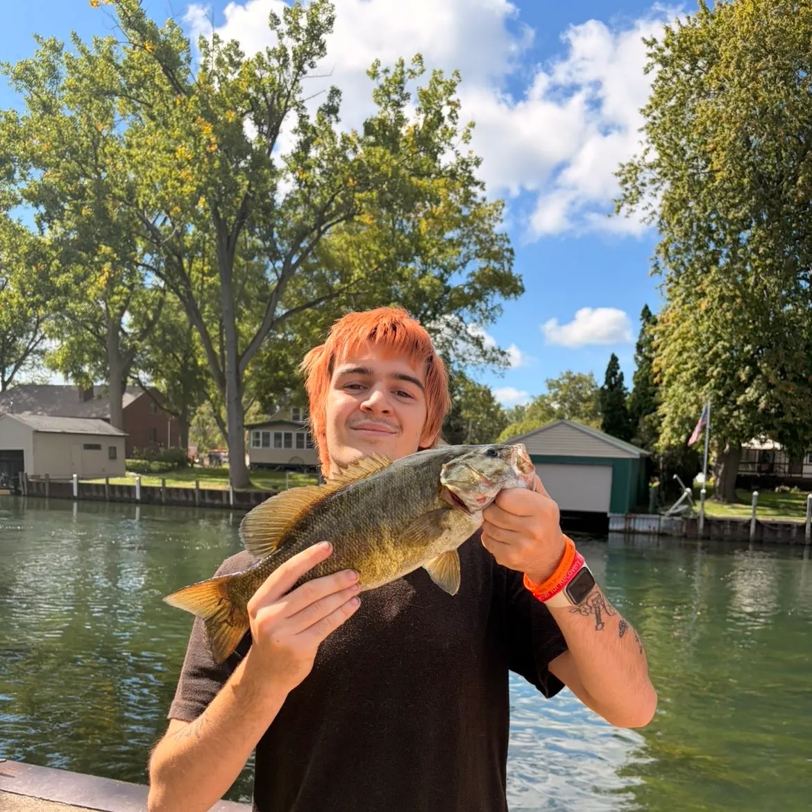 Smallmouth bass caught on Fishbrain