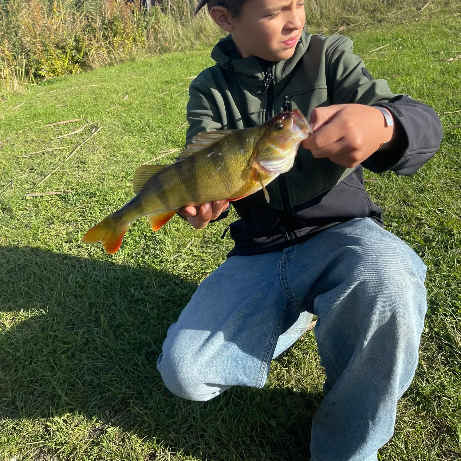 catch