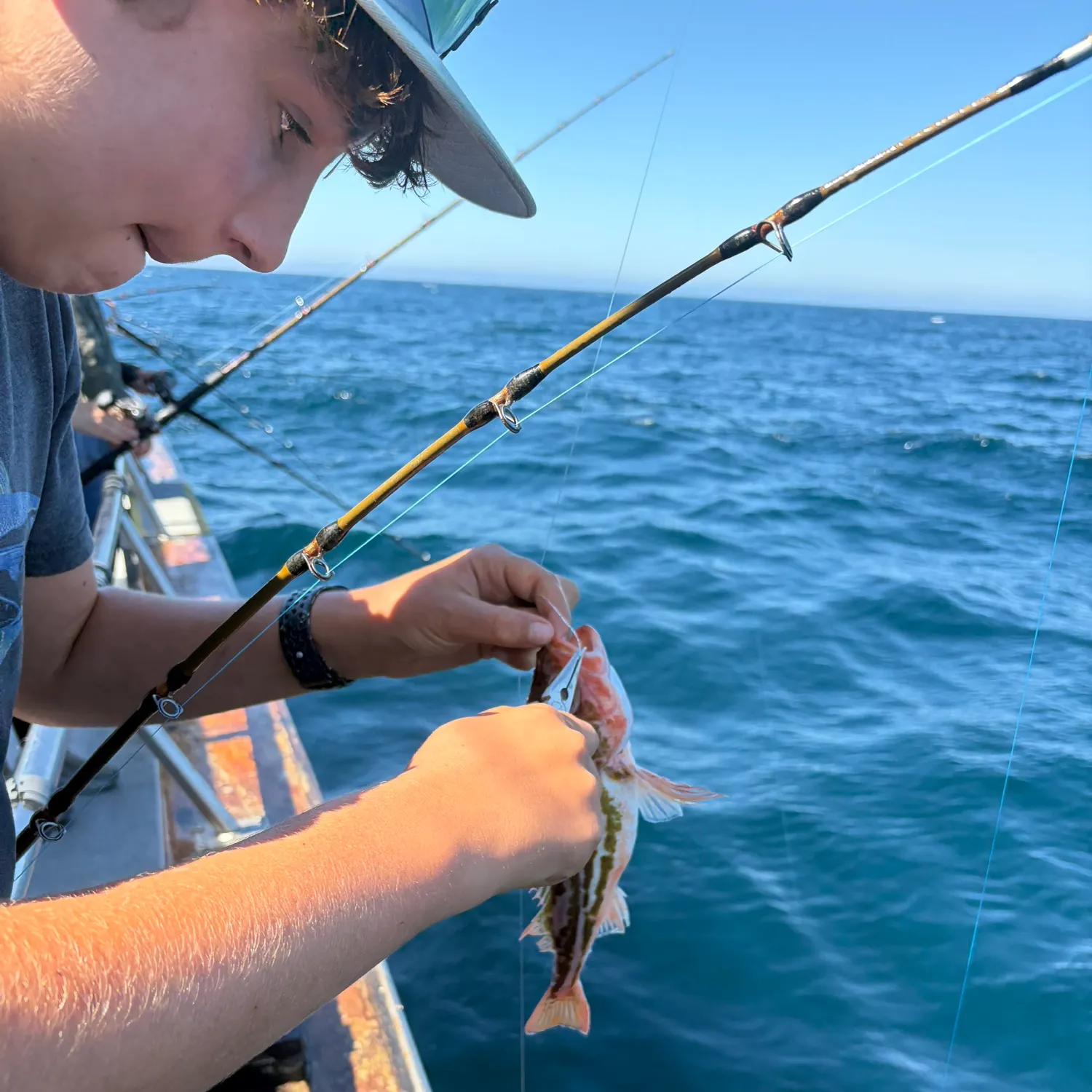 The most recent Grass rockfish catches on Fishbrain