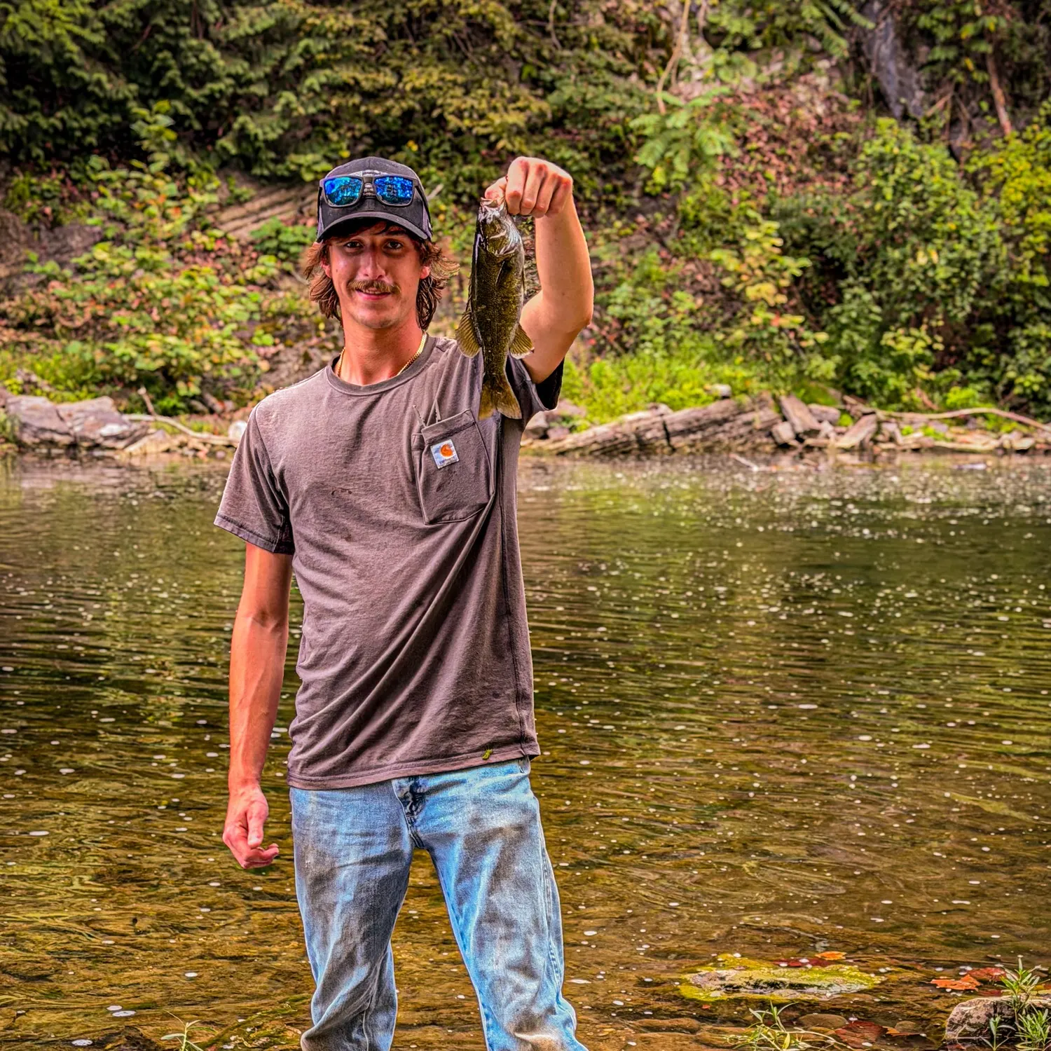 Smallmouth bass caught on Fishbrain