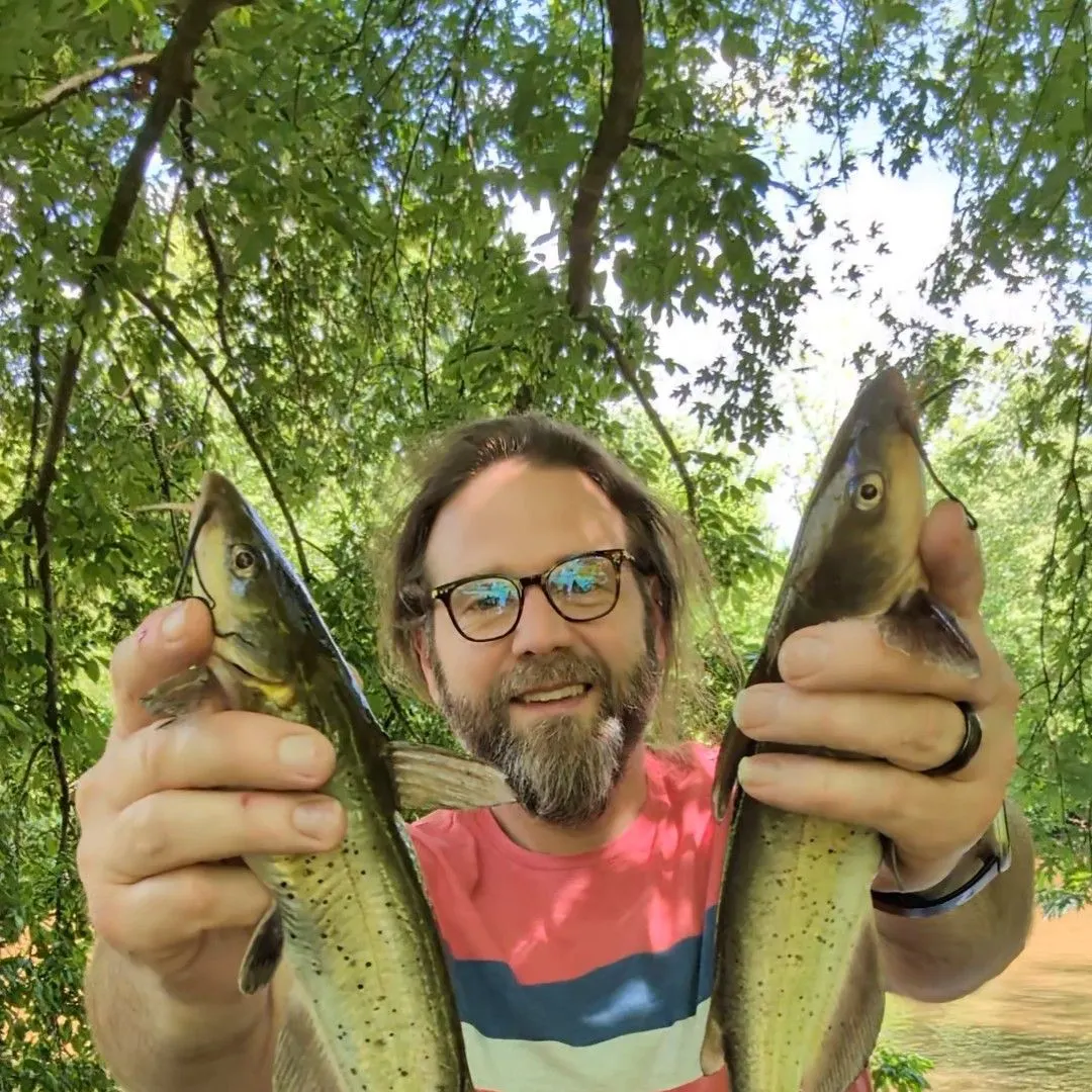 angler catch