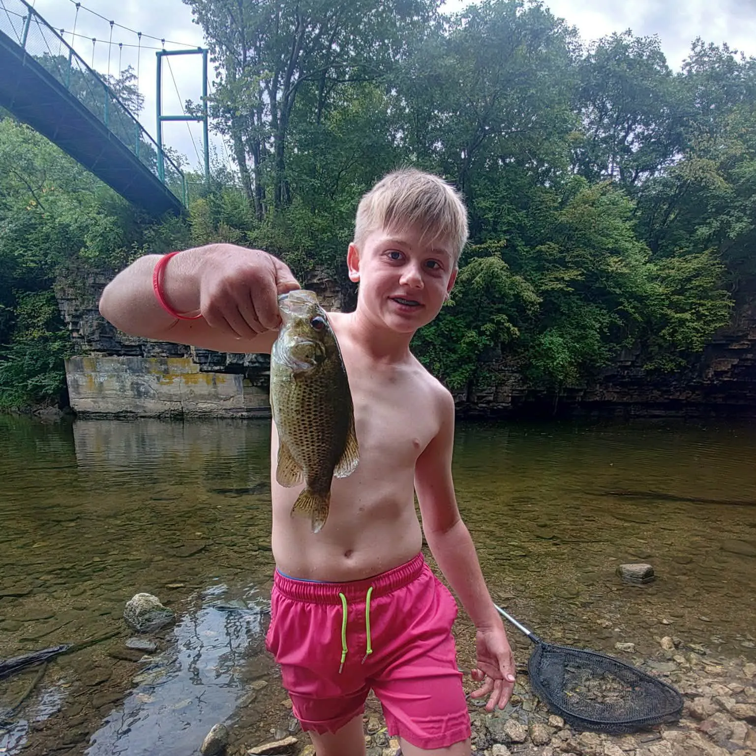 Rock bass caught on Fishbrain
