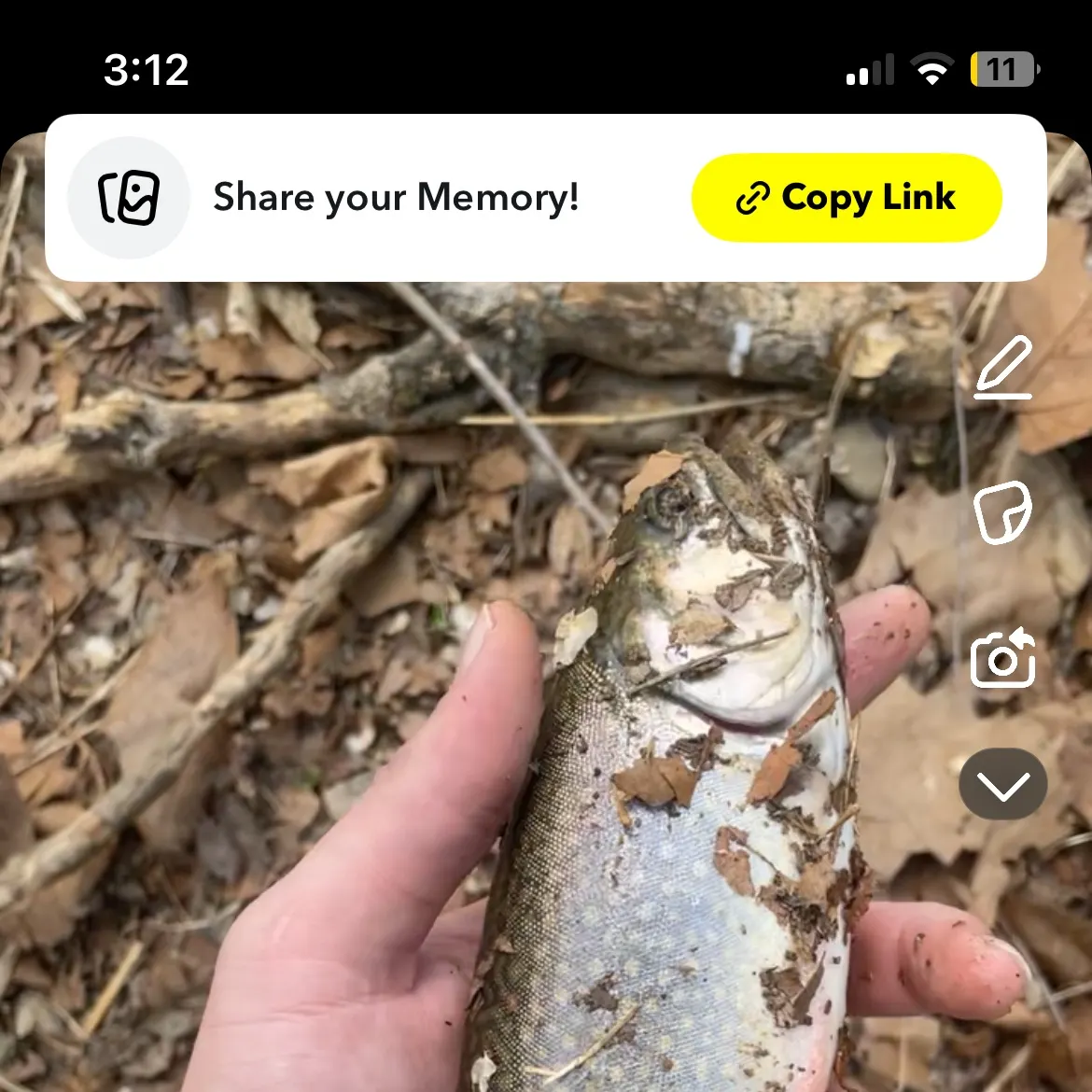 recently logged catches