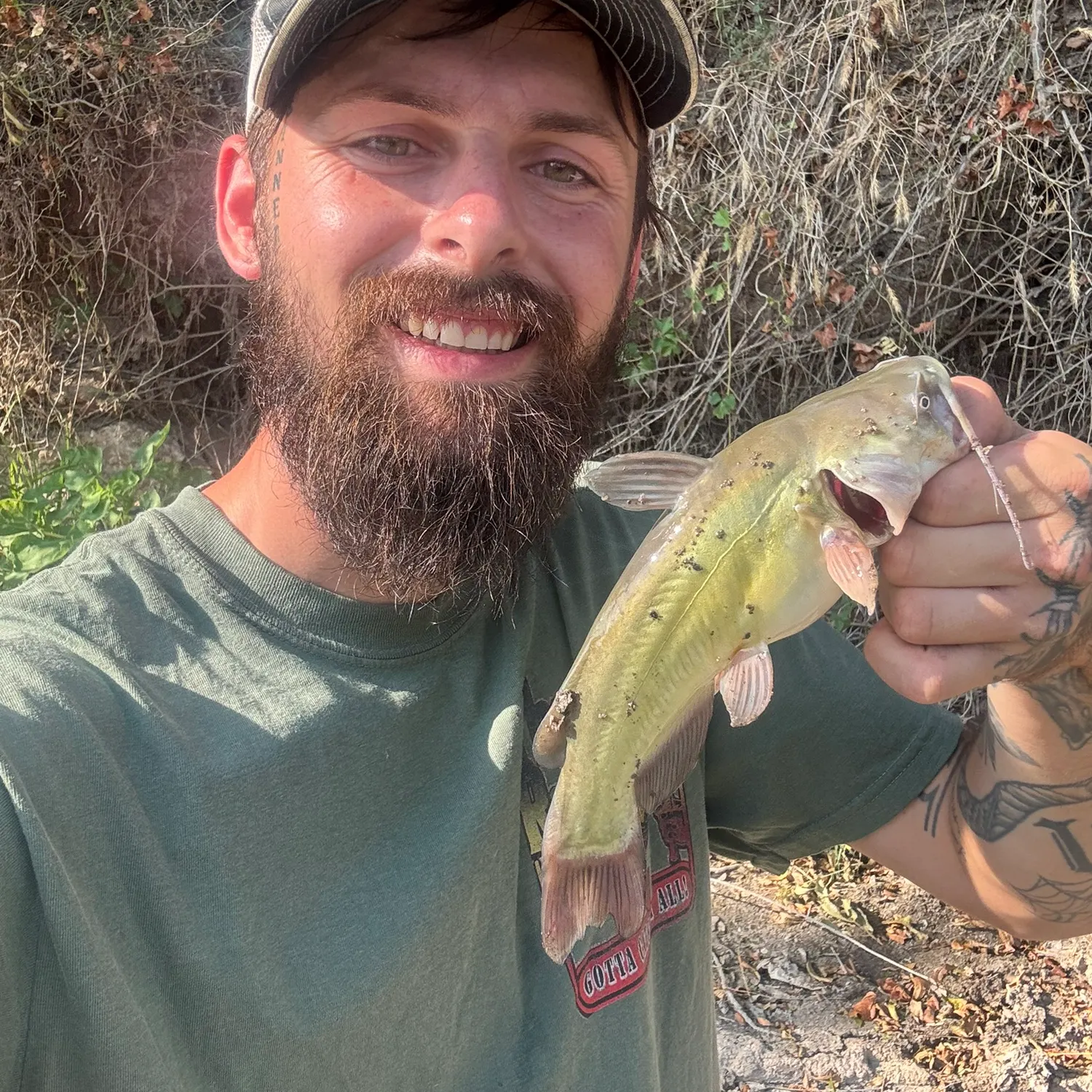 Black bullhead caught on Fishbrain