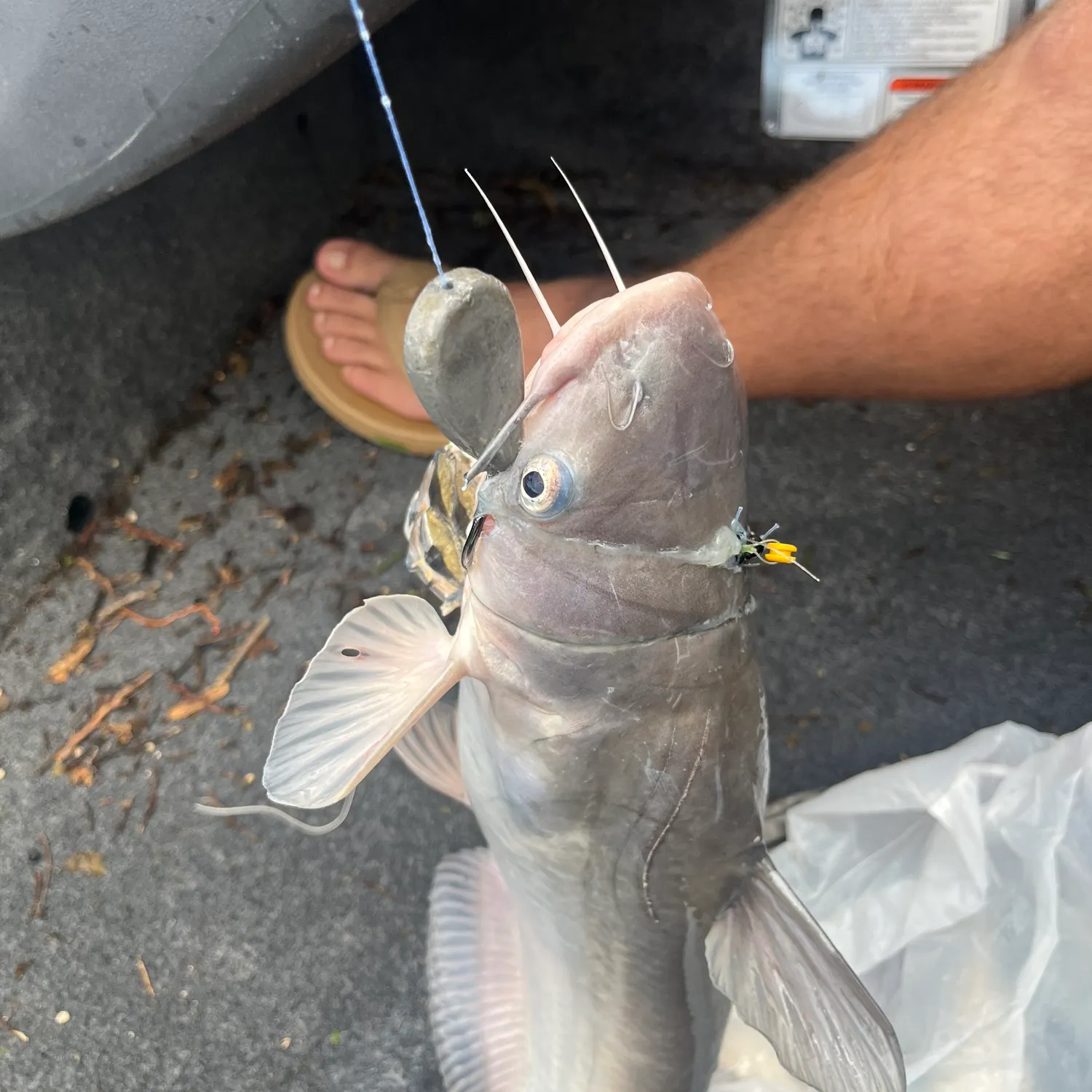 catch