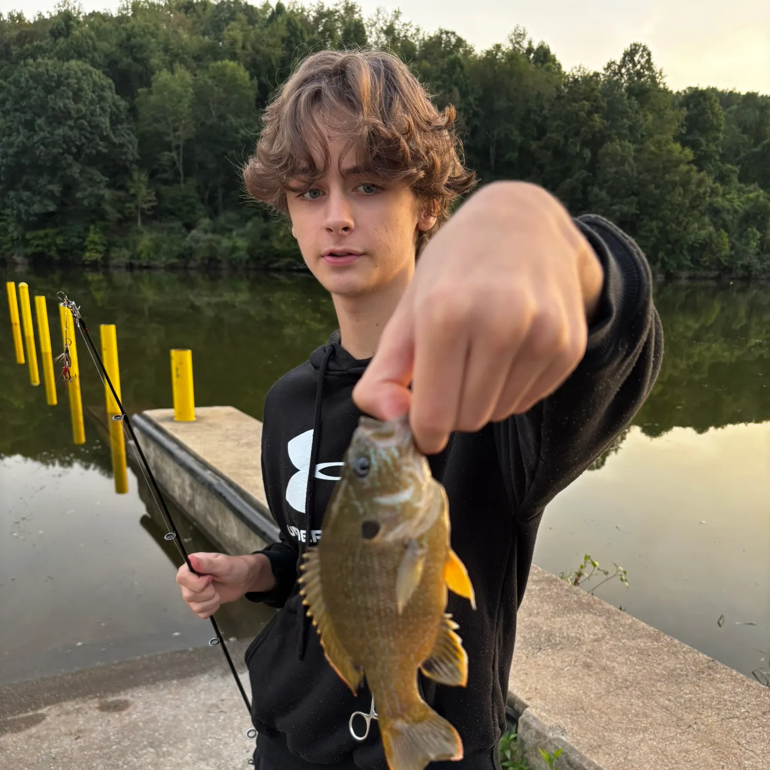 Green sunfish caught on Fishbrain