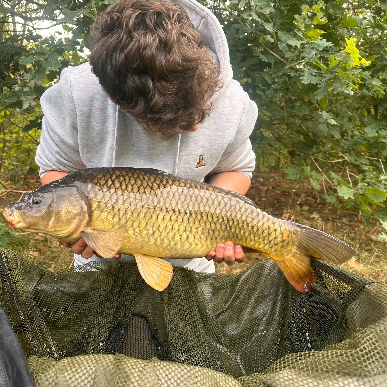 Common carp caught on Fishbrain