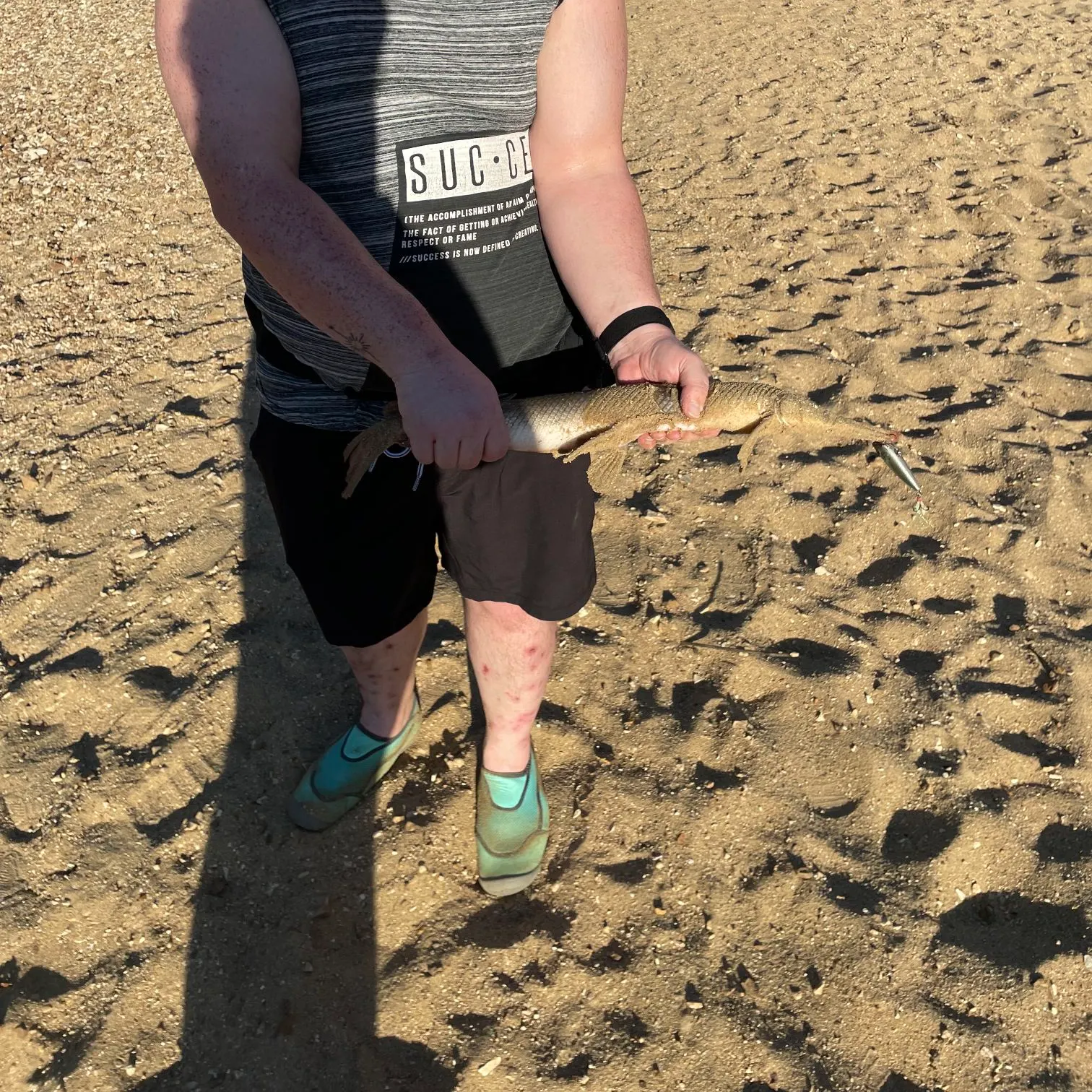 Shortnose gar caught on Fishbrain