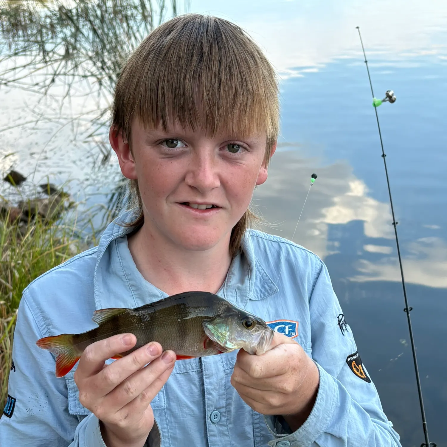 European perch caught on Fishbrain