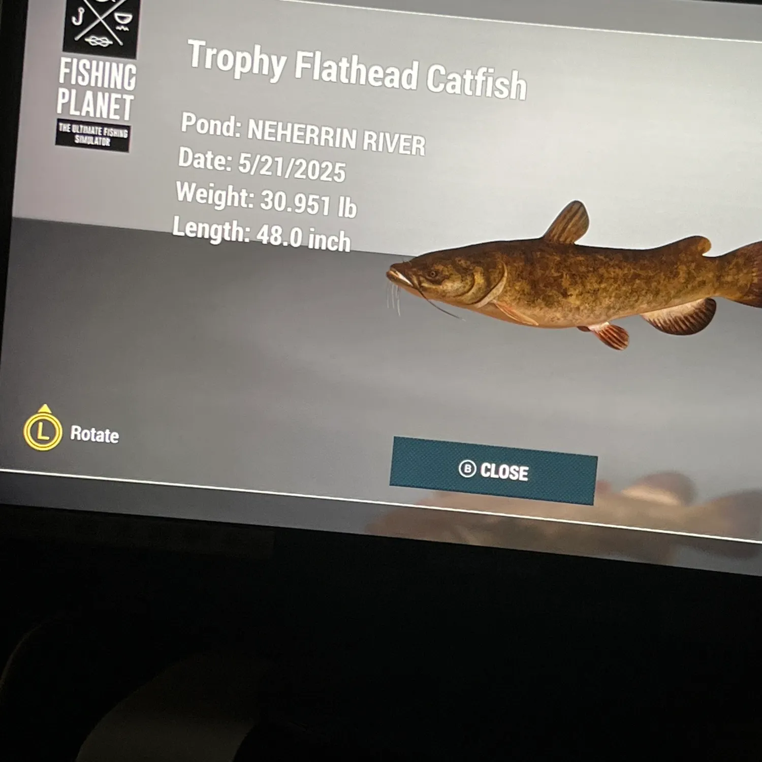 recently logged catches