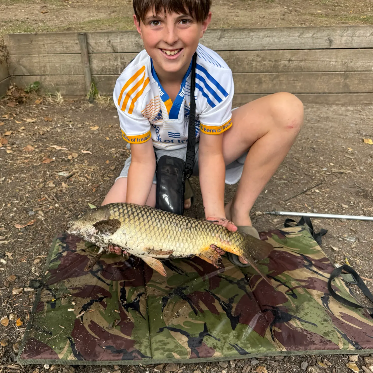 Common carp caught on Fishbrain