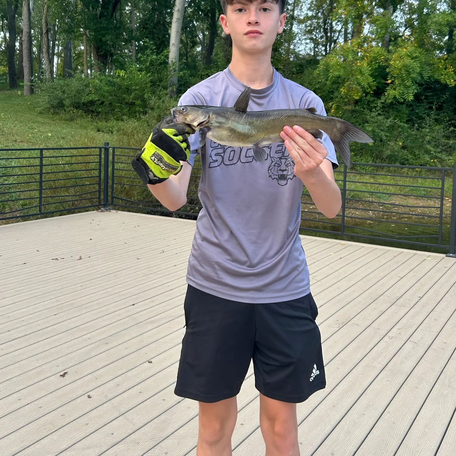 Channel catfish caught on Fishbrain