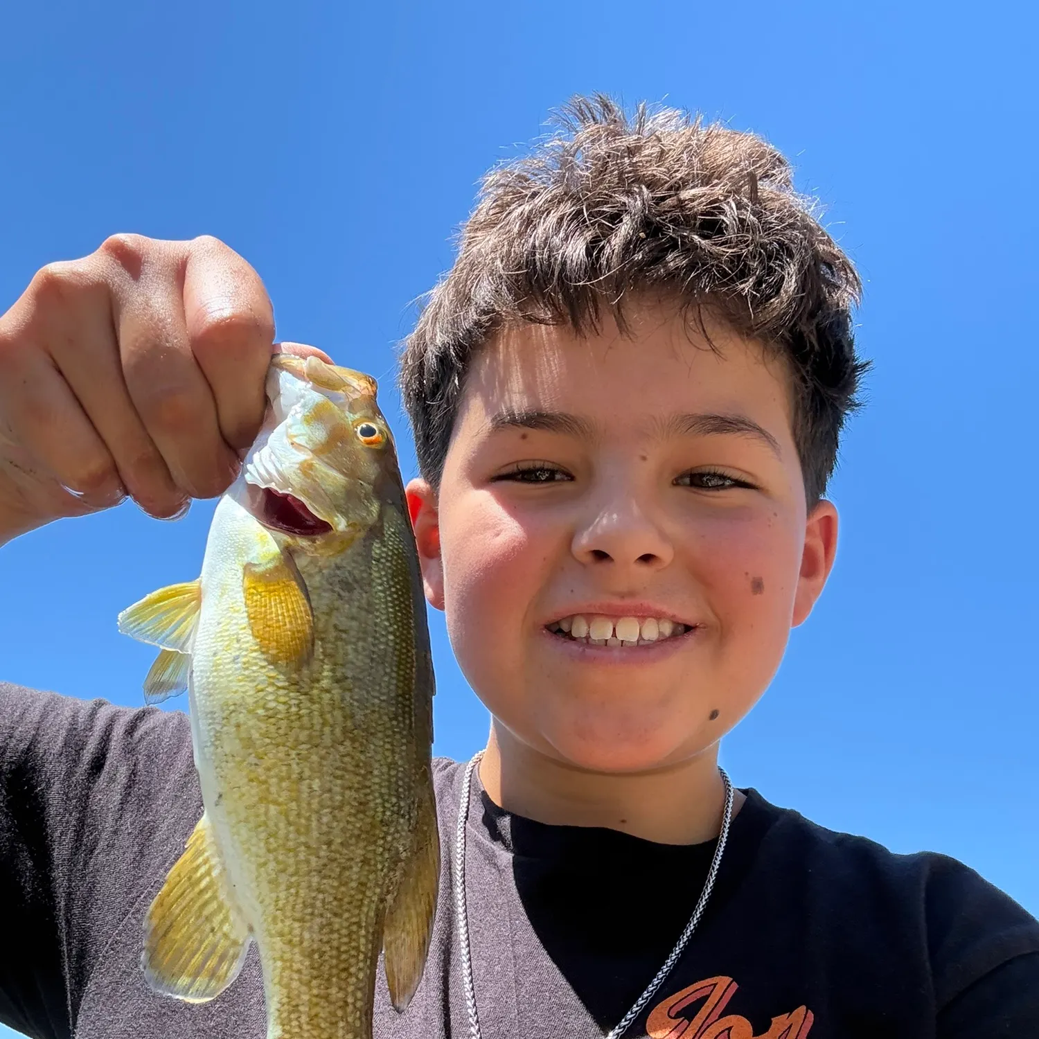 Smallmouth bass caught on Fishbrain