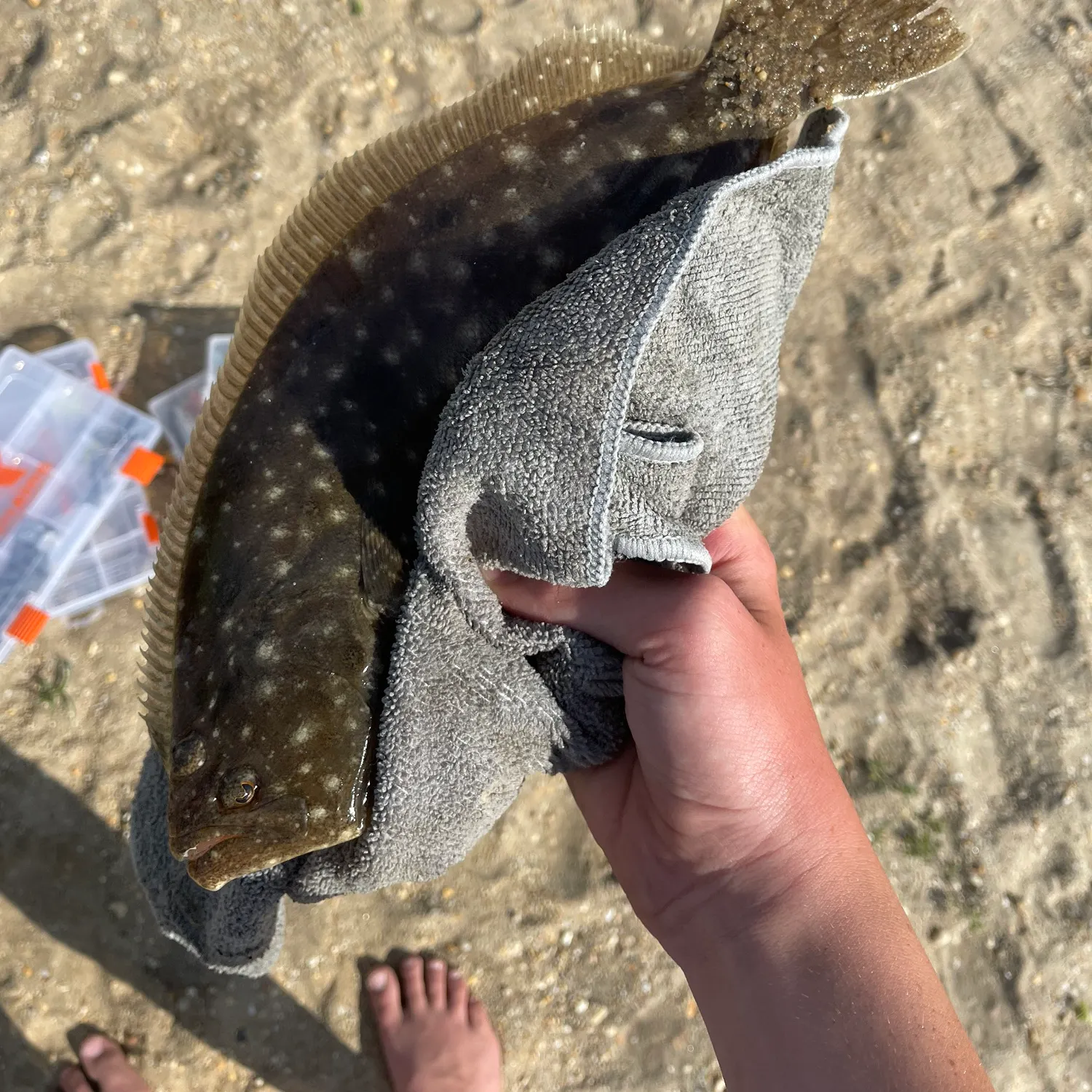 catch