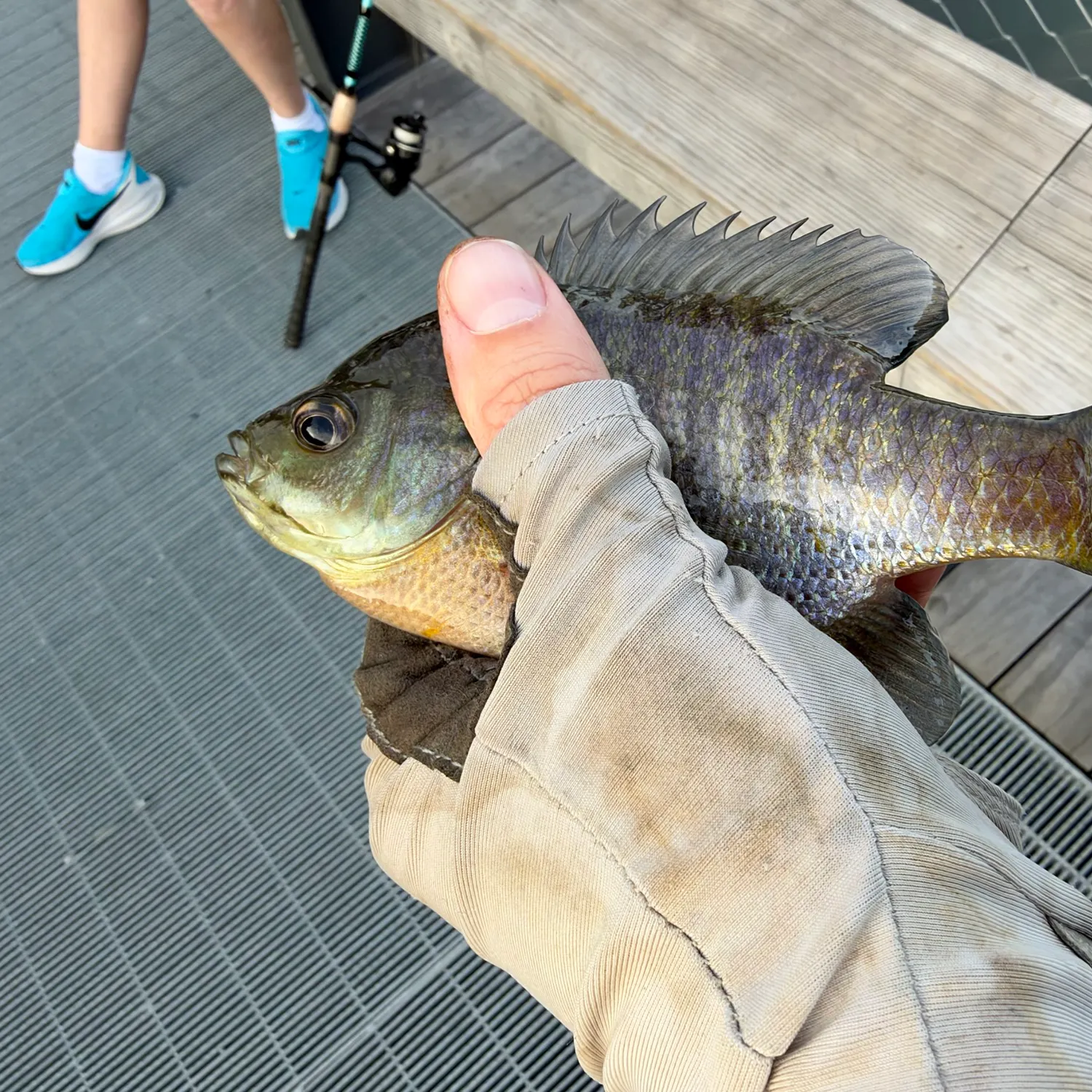 catch