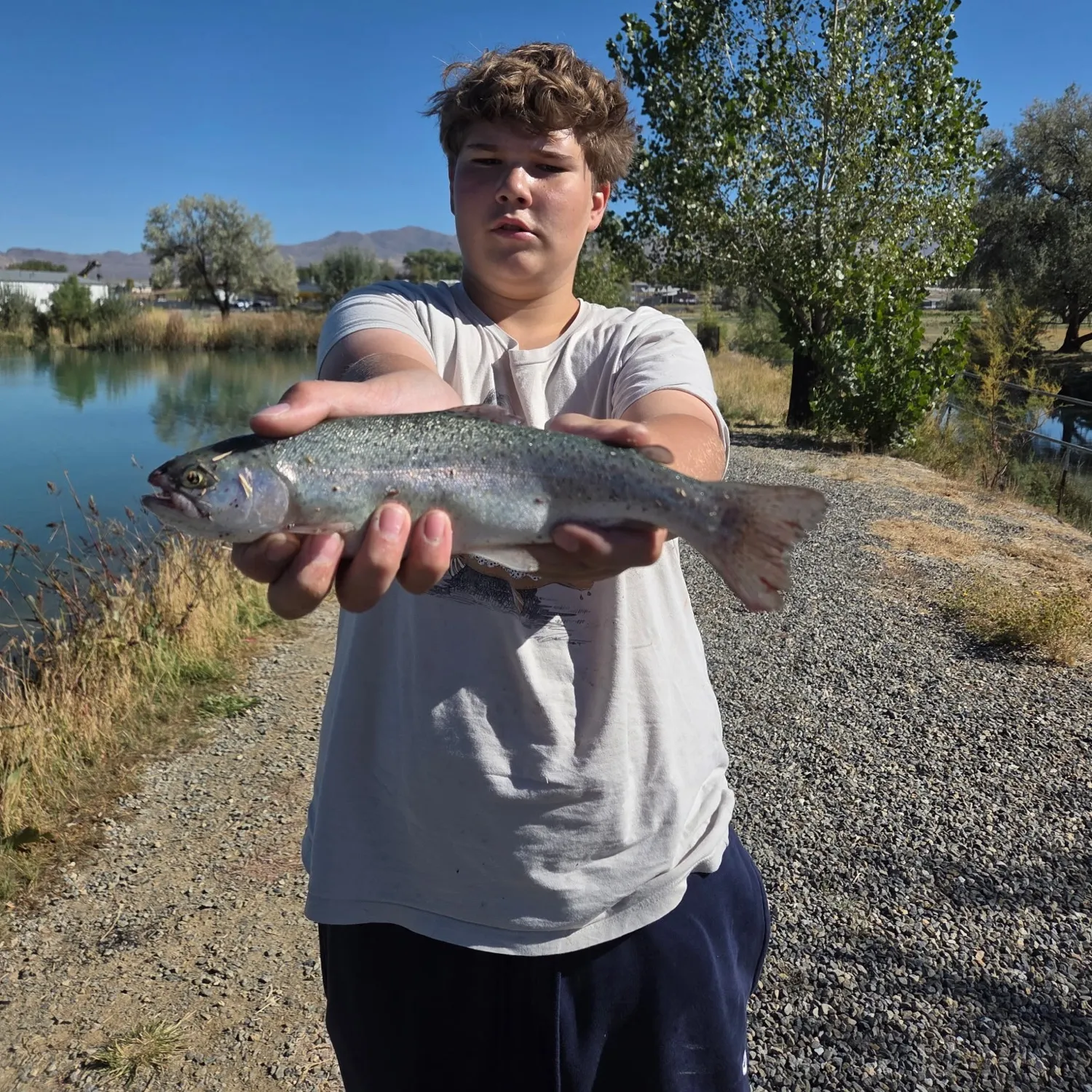 Rainbow trout caught on Fishbrain