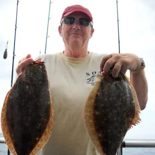 Summer flounder caught on Fishbrain