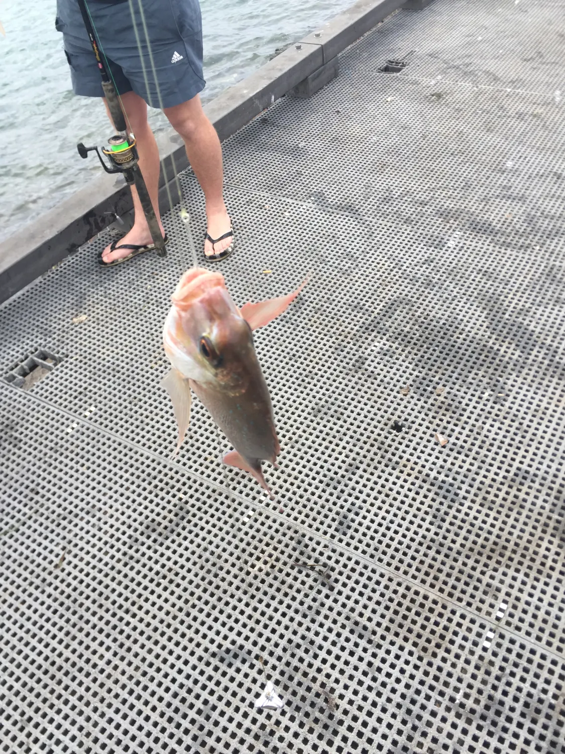 Post image from Ronnie1310