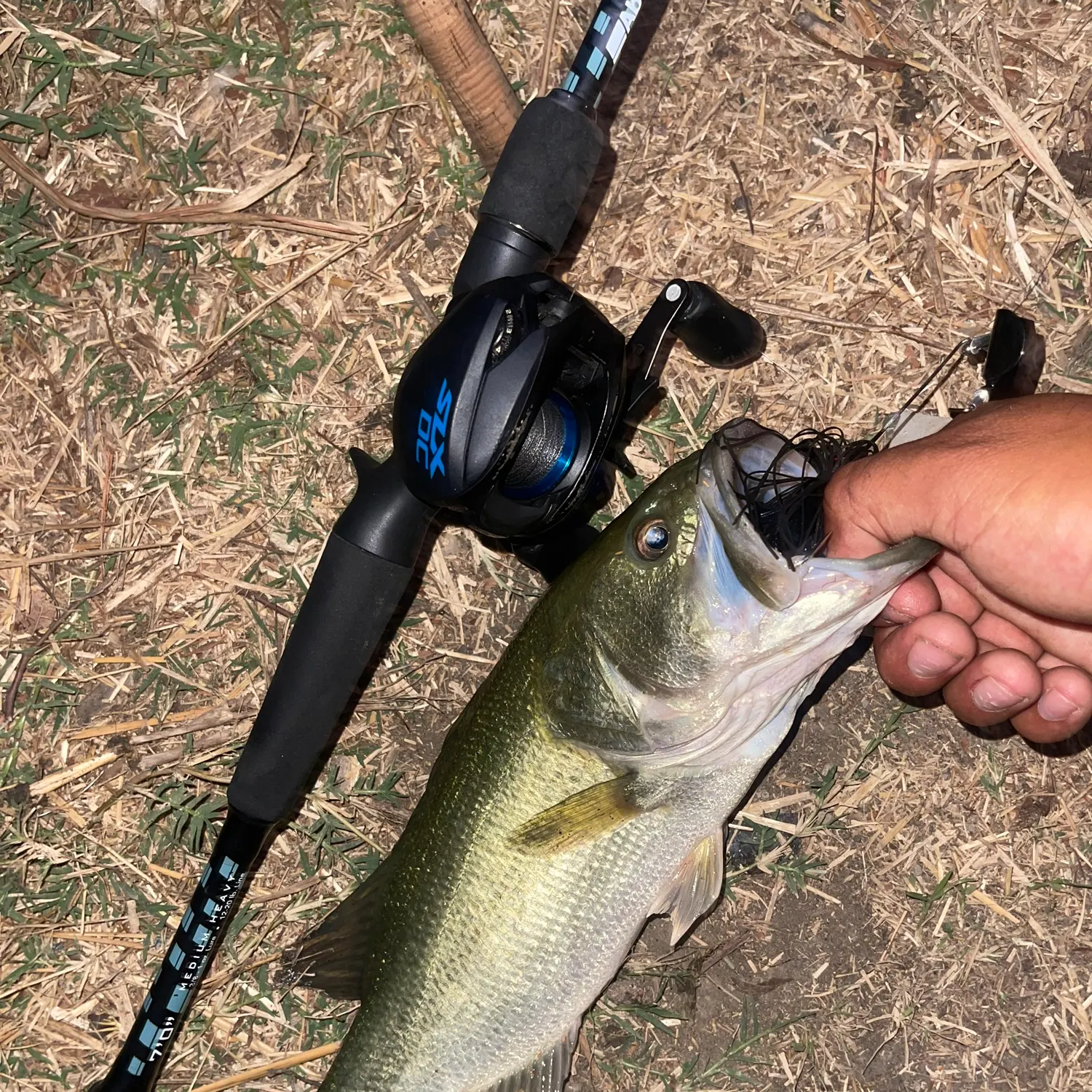 Largemouth bass caught on Fishbrain