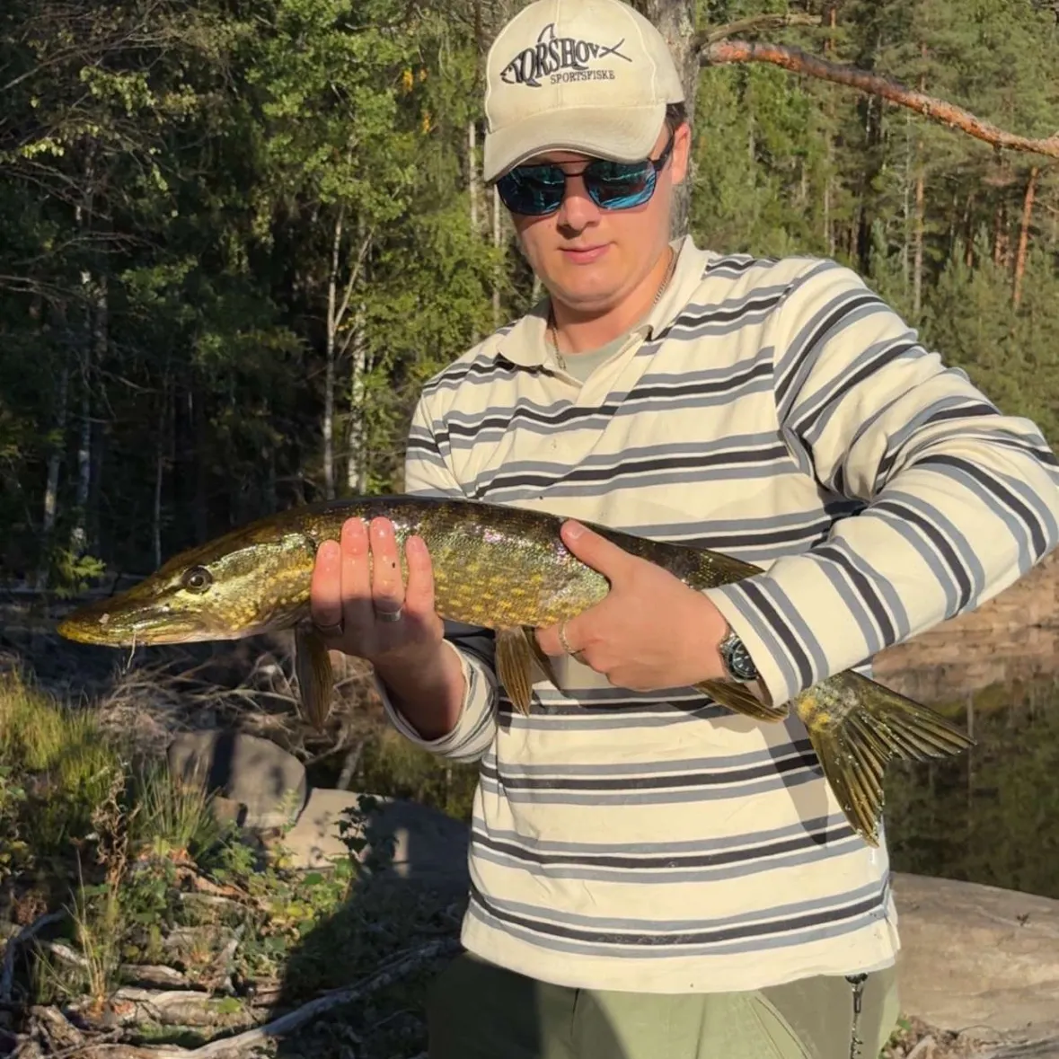 Northern pike caught on Fishbrain