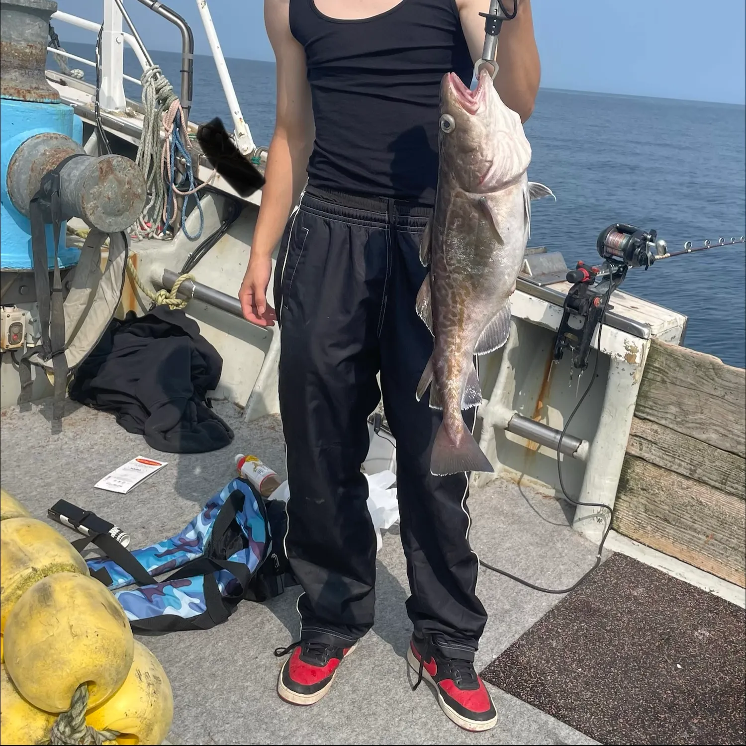 The most recent Pacific cod catches on Fishbrain
