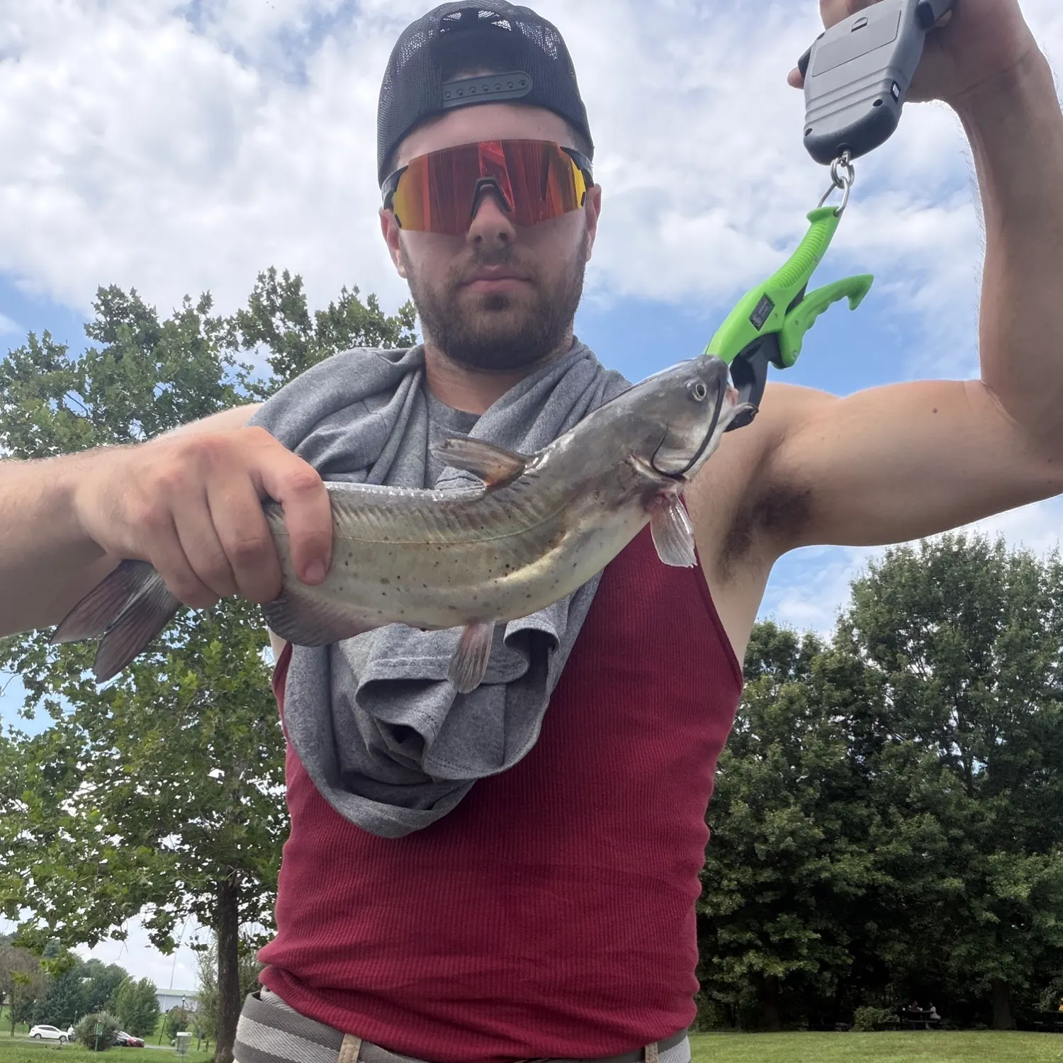 Channel catfish caught on Fishbrain