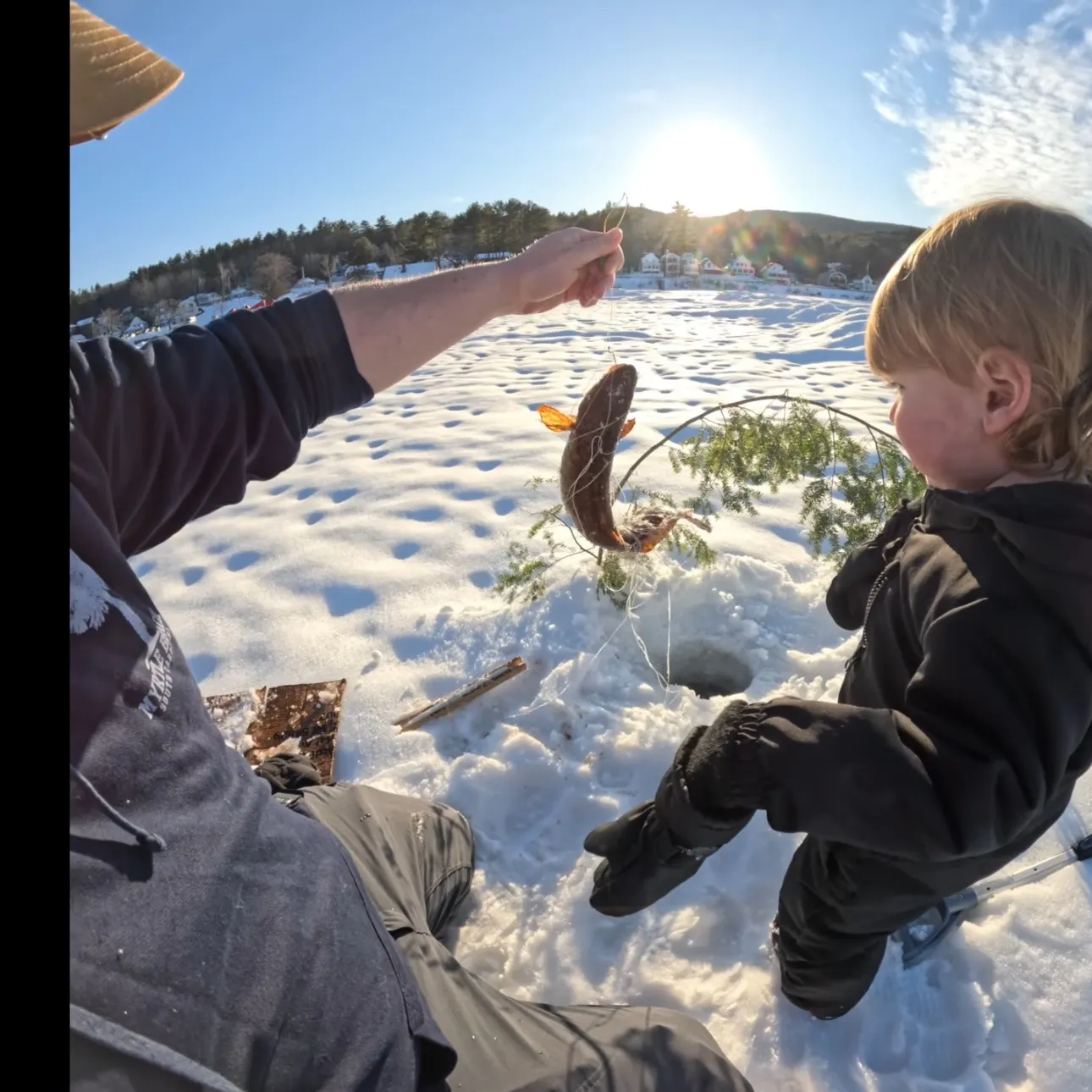 The most recent Burbot catches on Fishbrain
