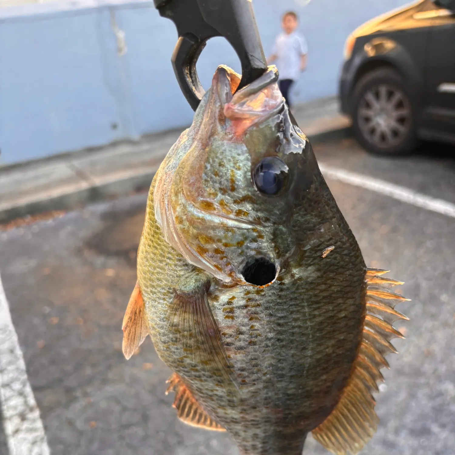 catch